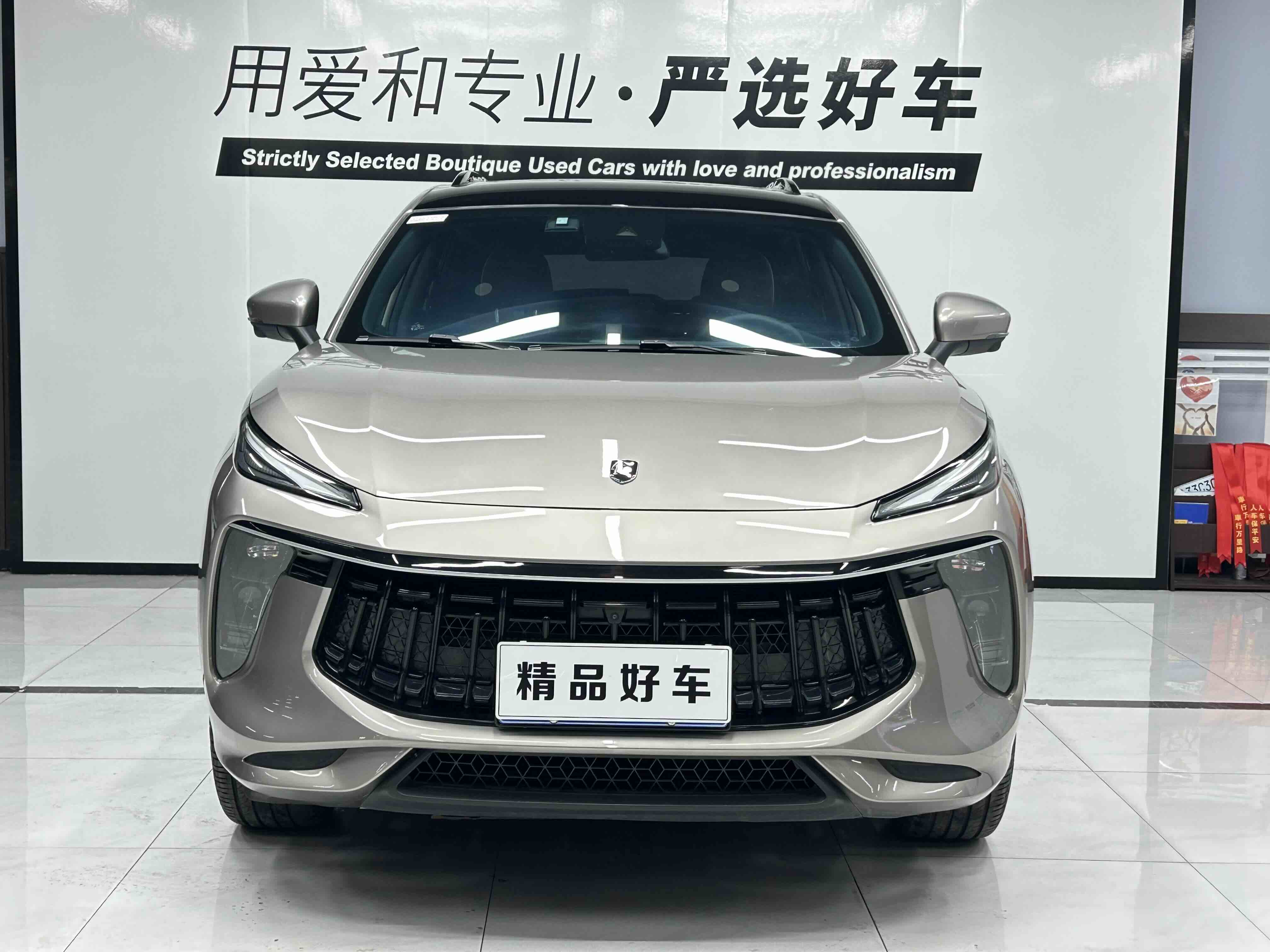 Forthing T5 EVO 2021 immagine di auto #2