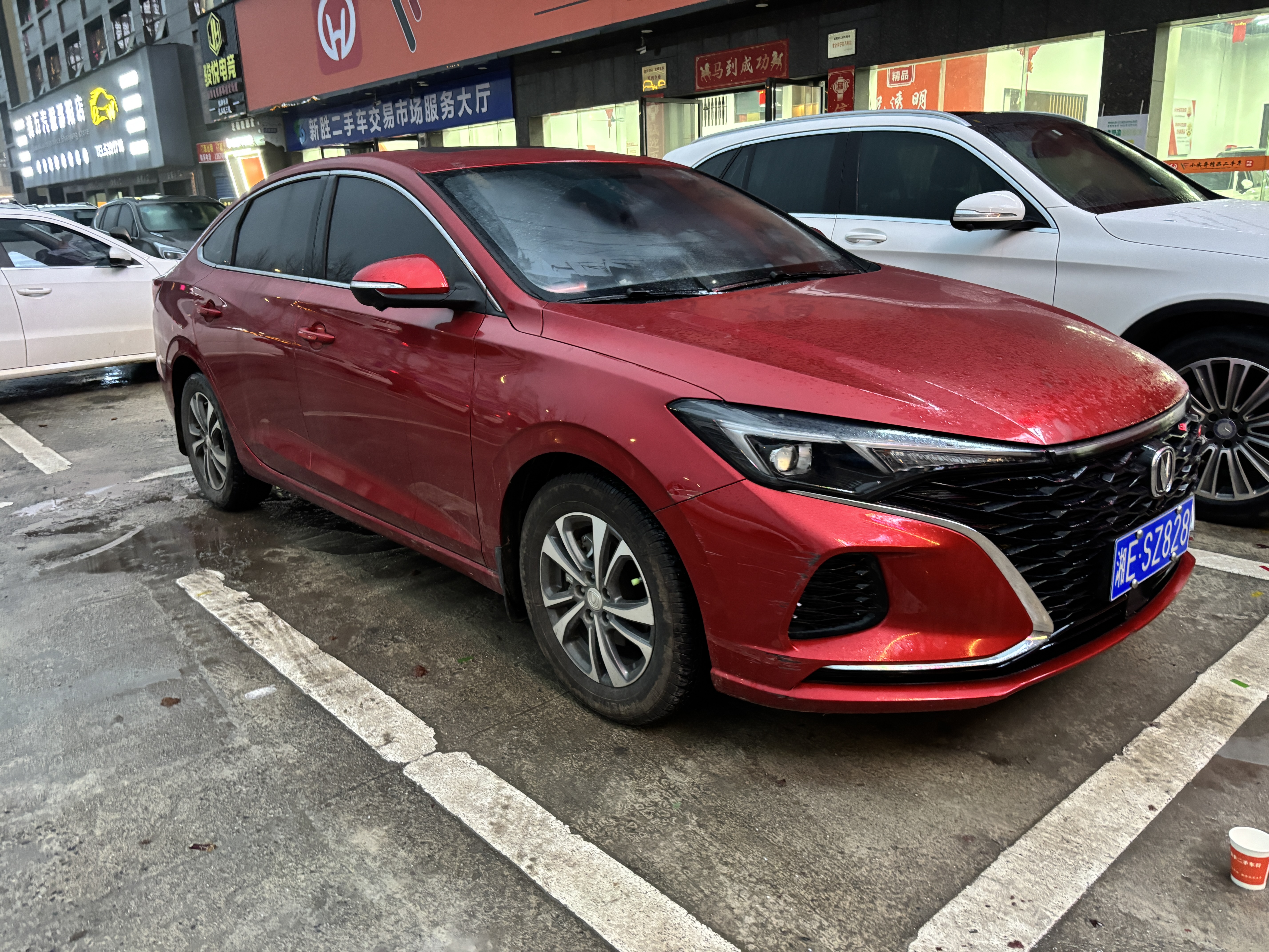 Changan Eado 2021 immagine di auto #2