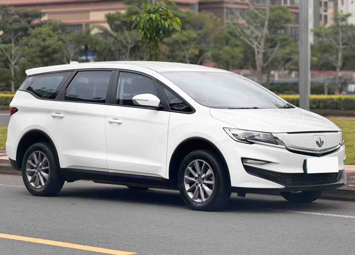 睿蓝汽车 枫叶80v 2022 汽车图片 #2