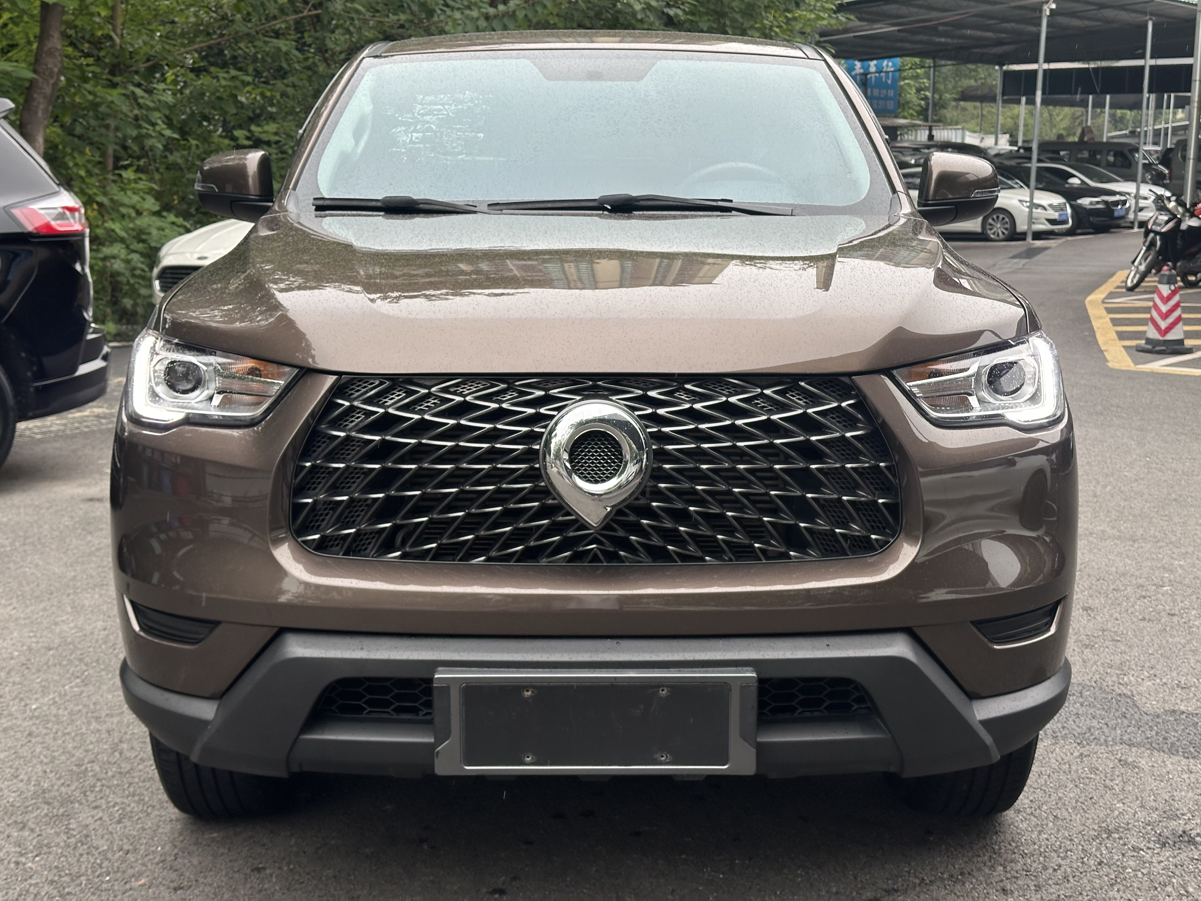 Great Wall Poer 2021 car image #2