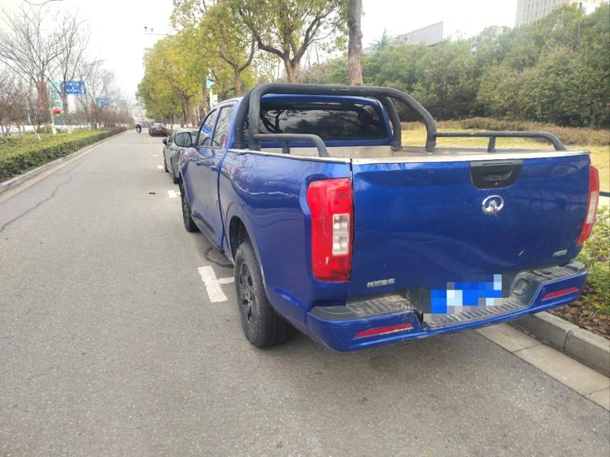 Great Wall Poer 2022 immagine di auto #2