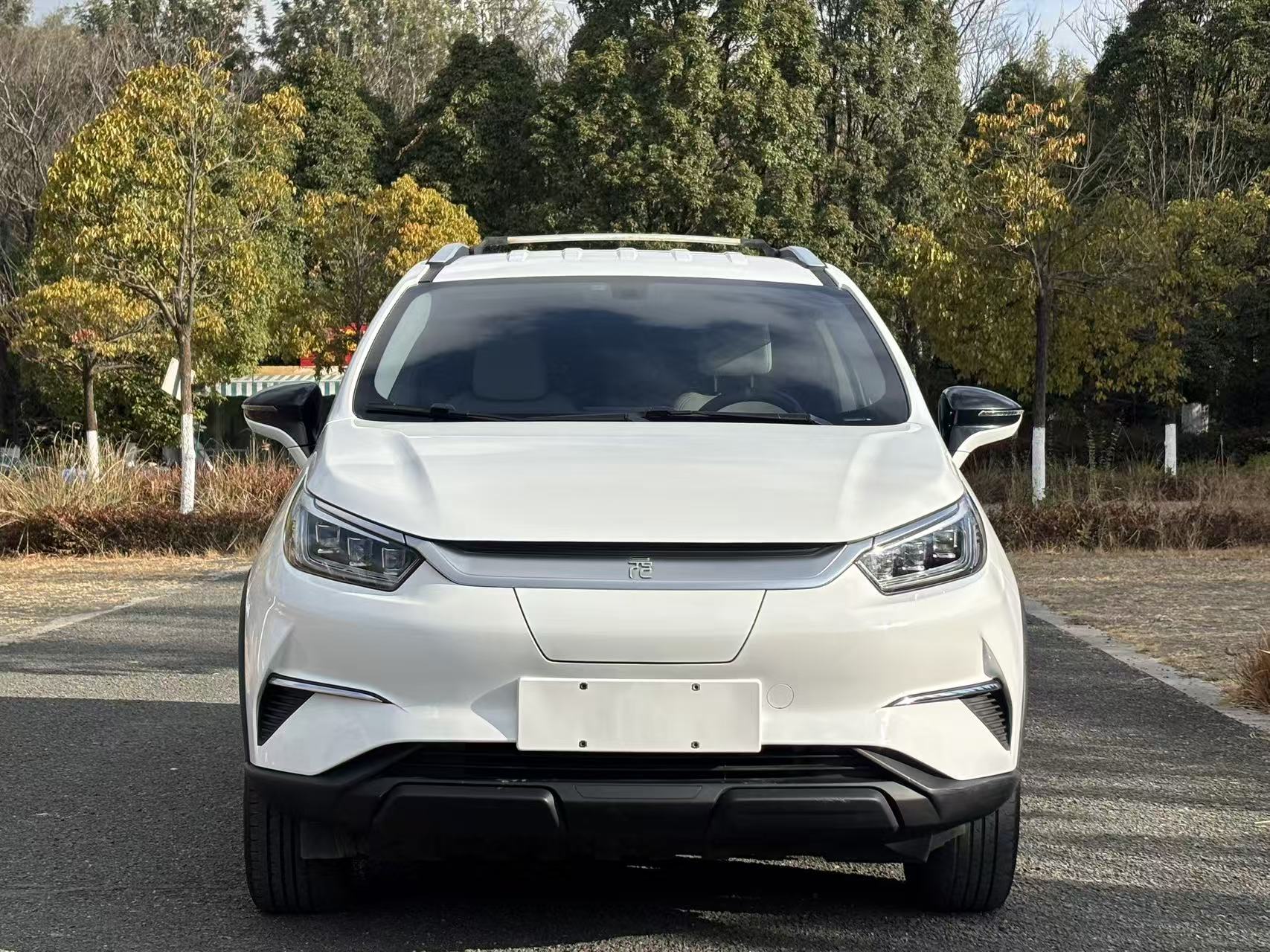 BYD Yuan Pro 2021 car image #2