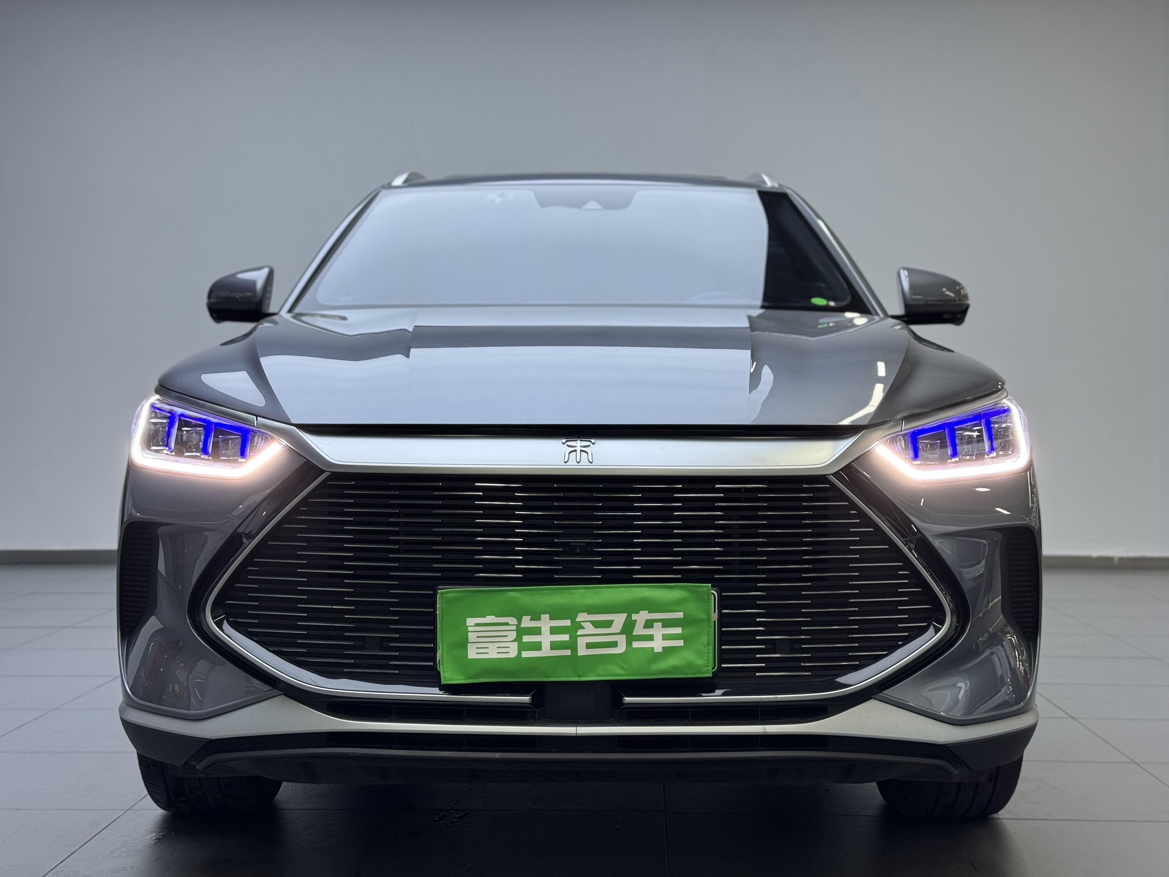 BYD Song Plus New Energy 2022 car image #2