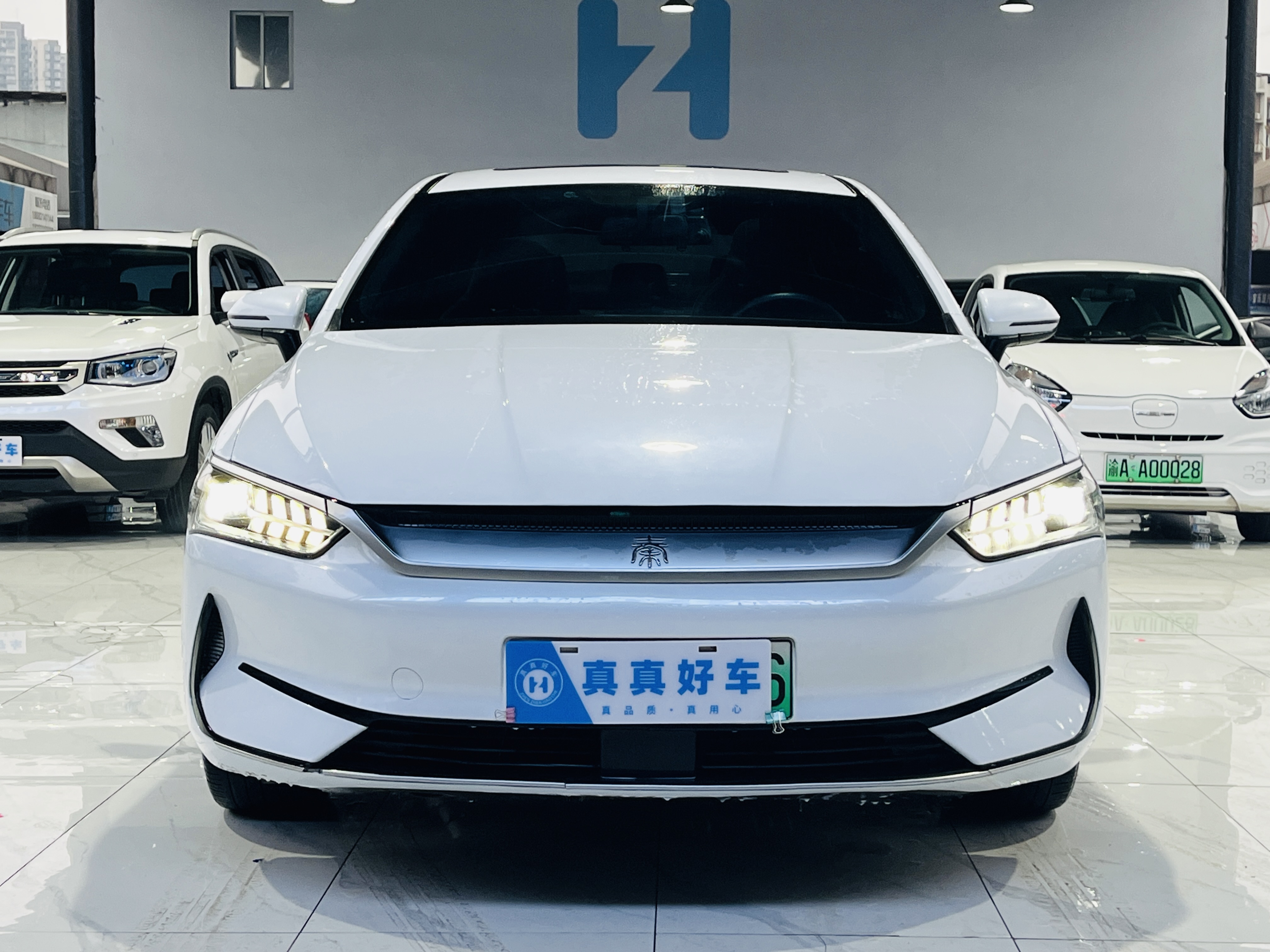 BYD Qin Plus 2021 صورة سيارة #2