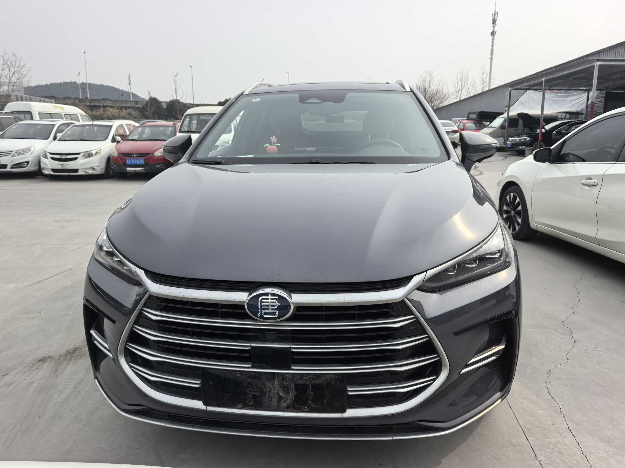 BYD Tang New Energy 2023 car image #2