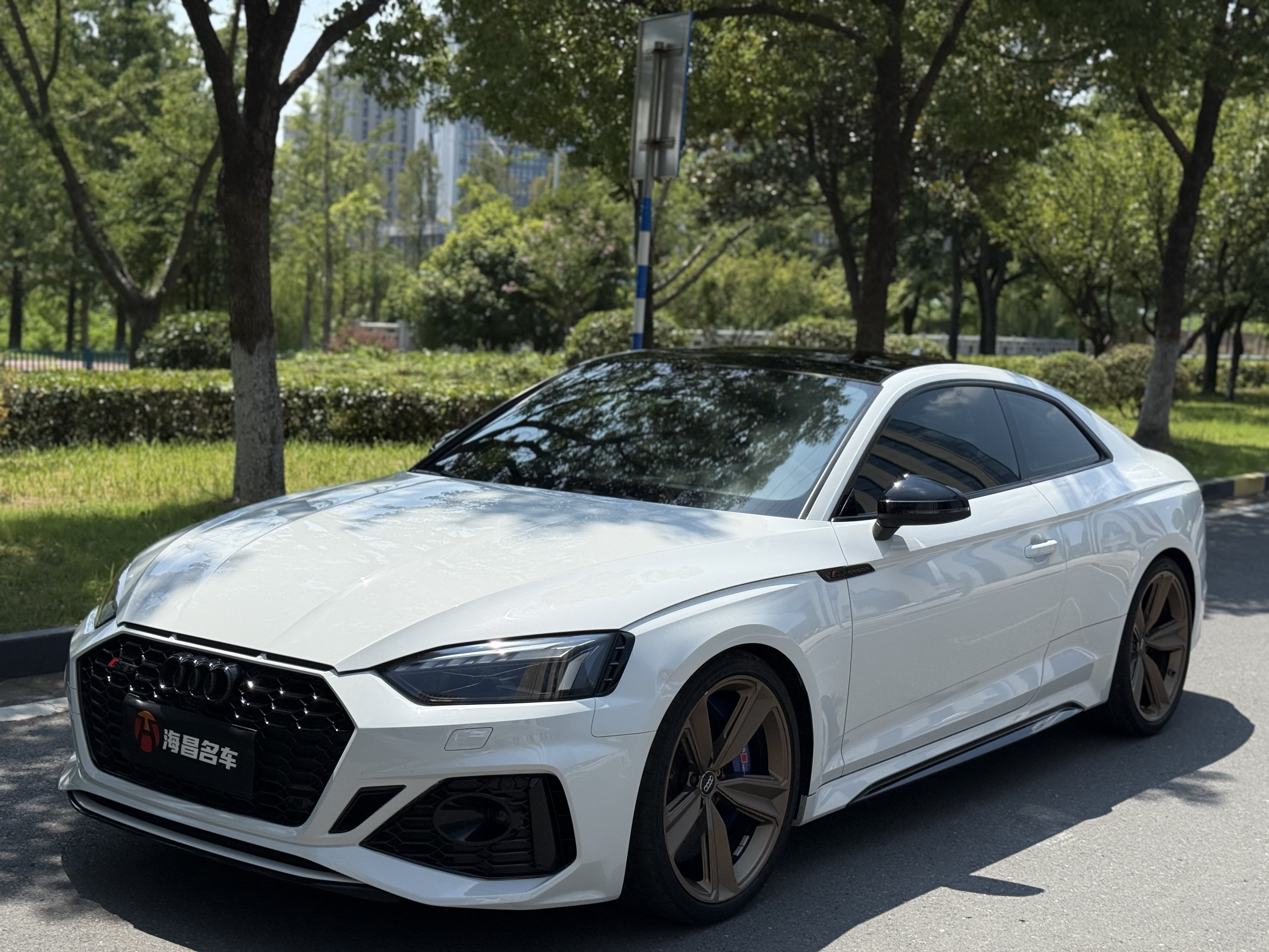 Audi RS 5 2020 car image #2