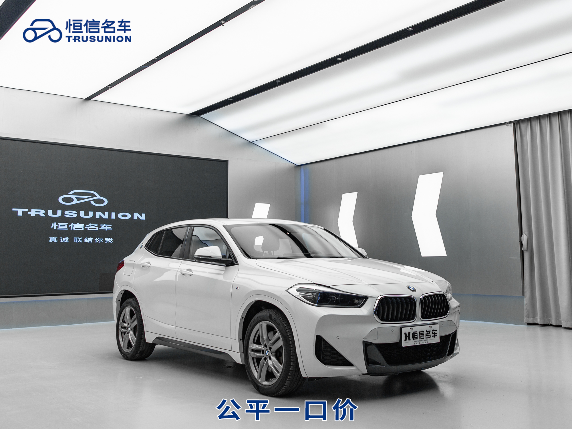 BMW X2 2021 car image #2