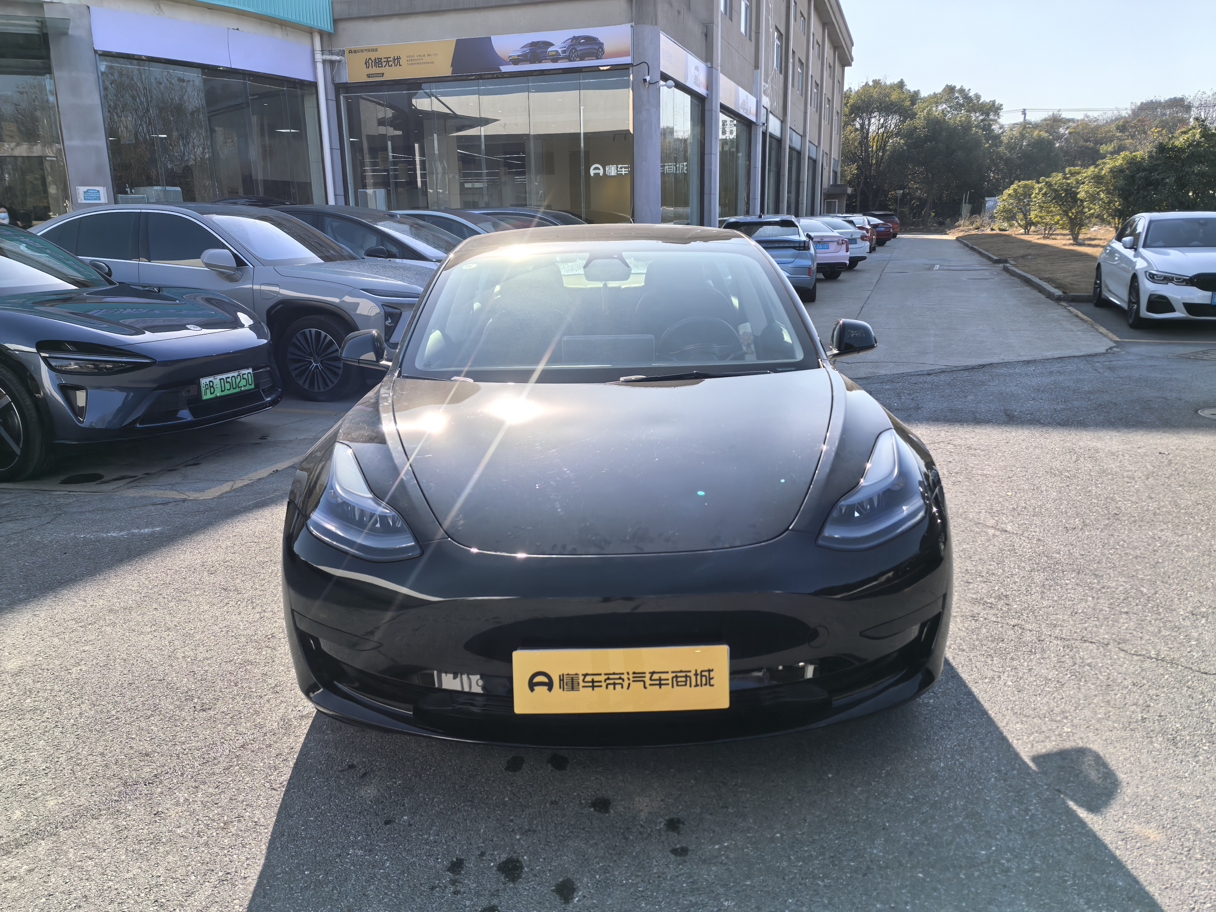 Tesla Model 3 2022 immagine di auto #2