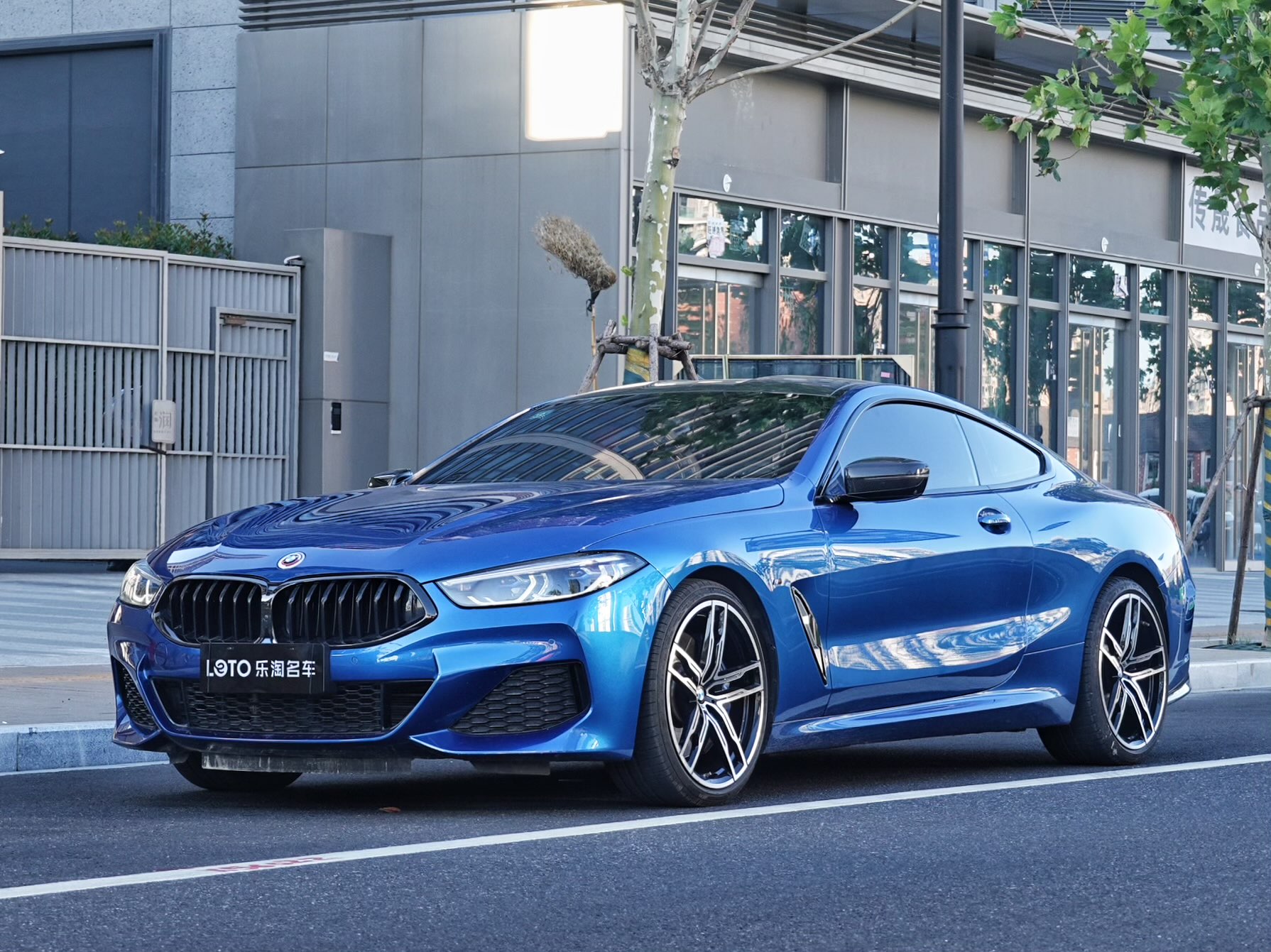 BMW 8 Series 2021 car image #2