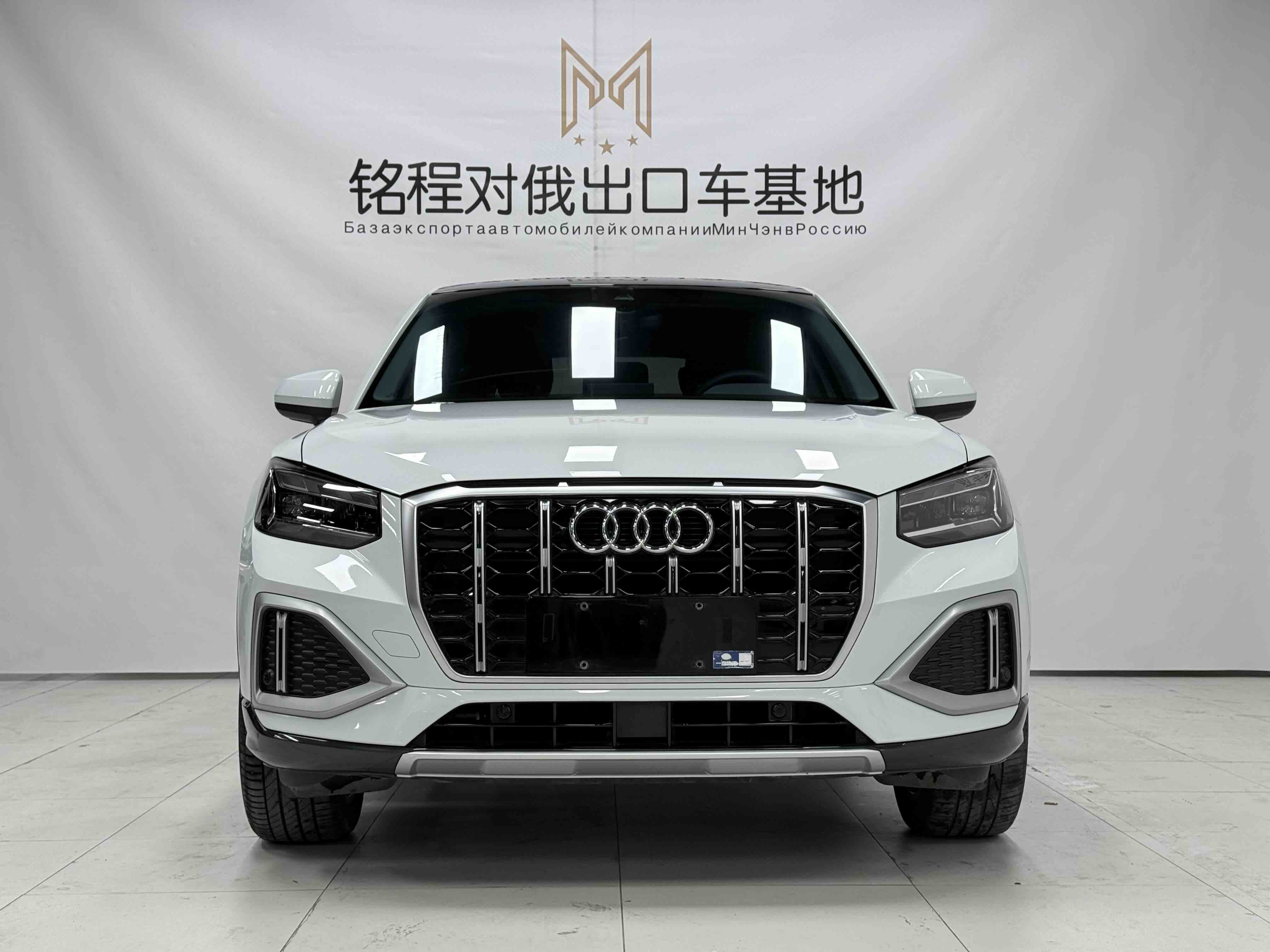 Audi Q2L 2022 imagem de carro #2