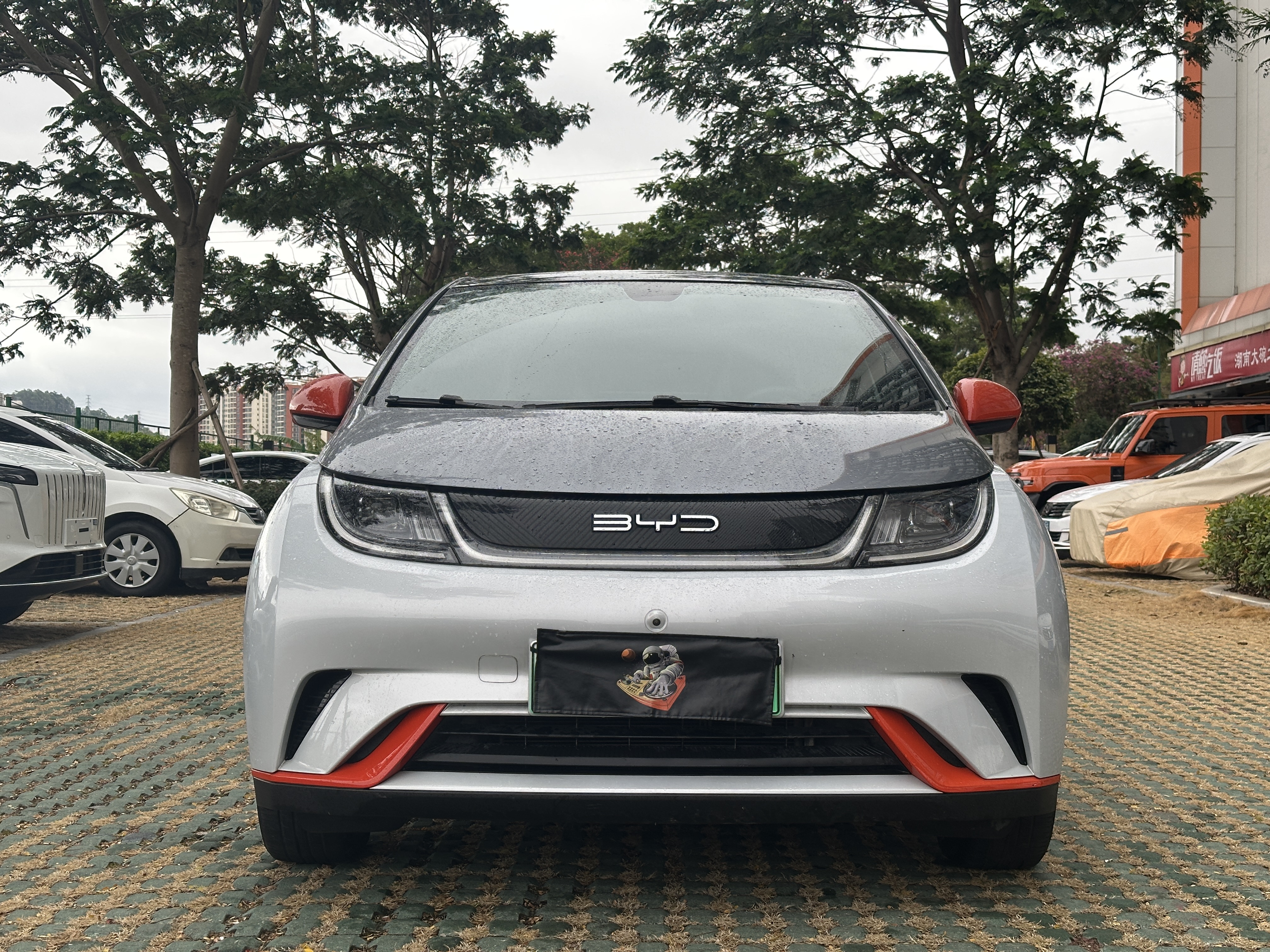 BYD Dolphin 2022 car image #2