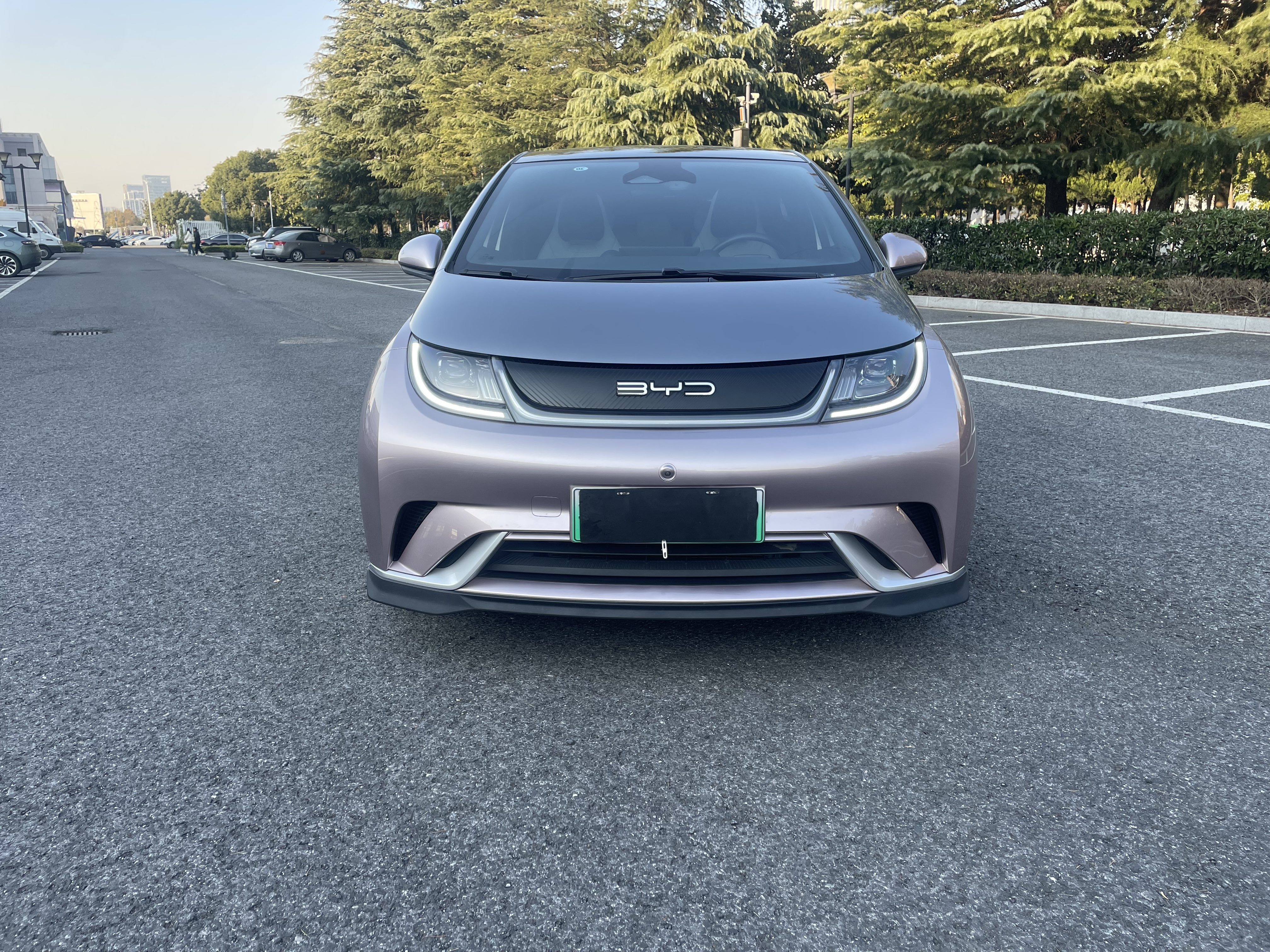 BYD Dolphin 2023 صورة سيارة #2