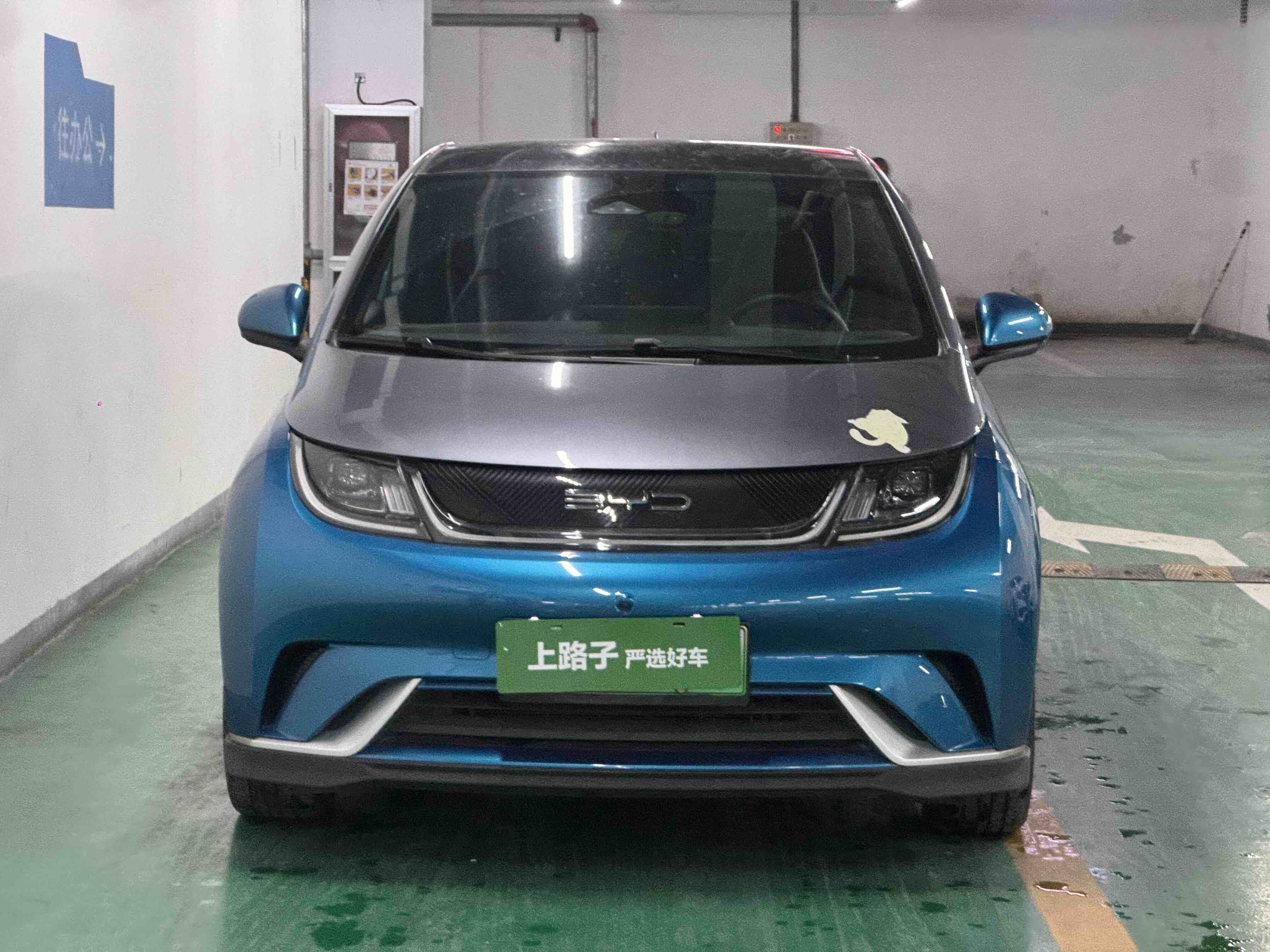 BYD Dolphin 2022 صورة سيارة #2