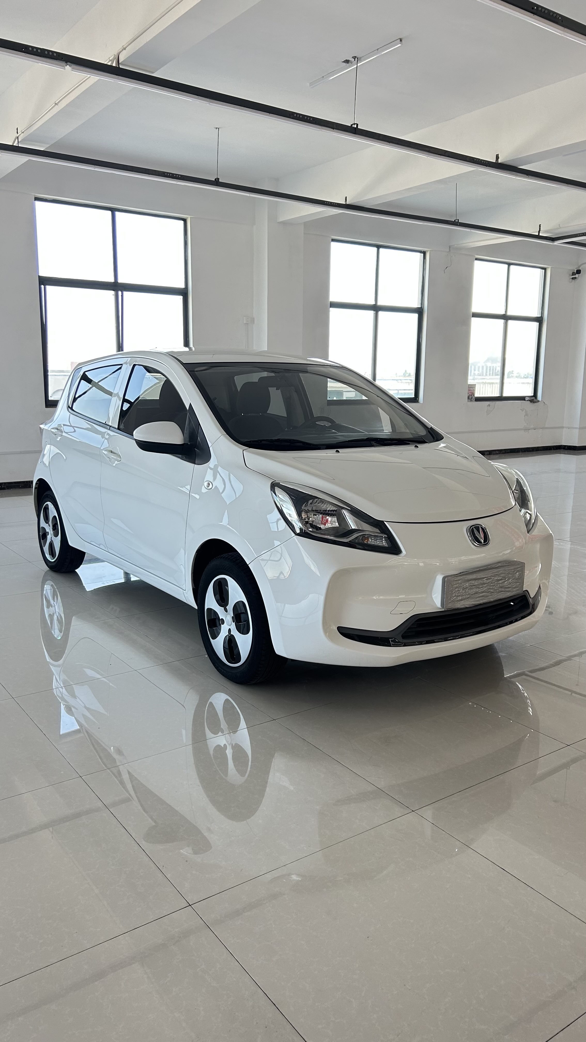 Changan BenBen E-Star 2021 изображение автомобиля #2