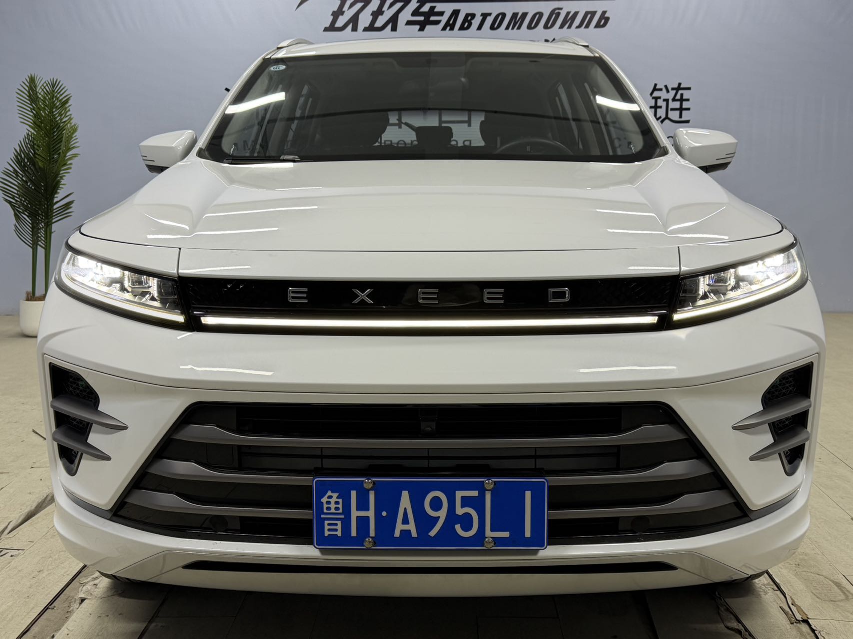 Exceed Chasing Wind 2022 car image #2