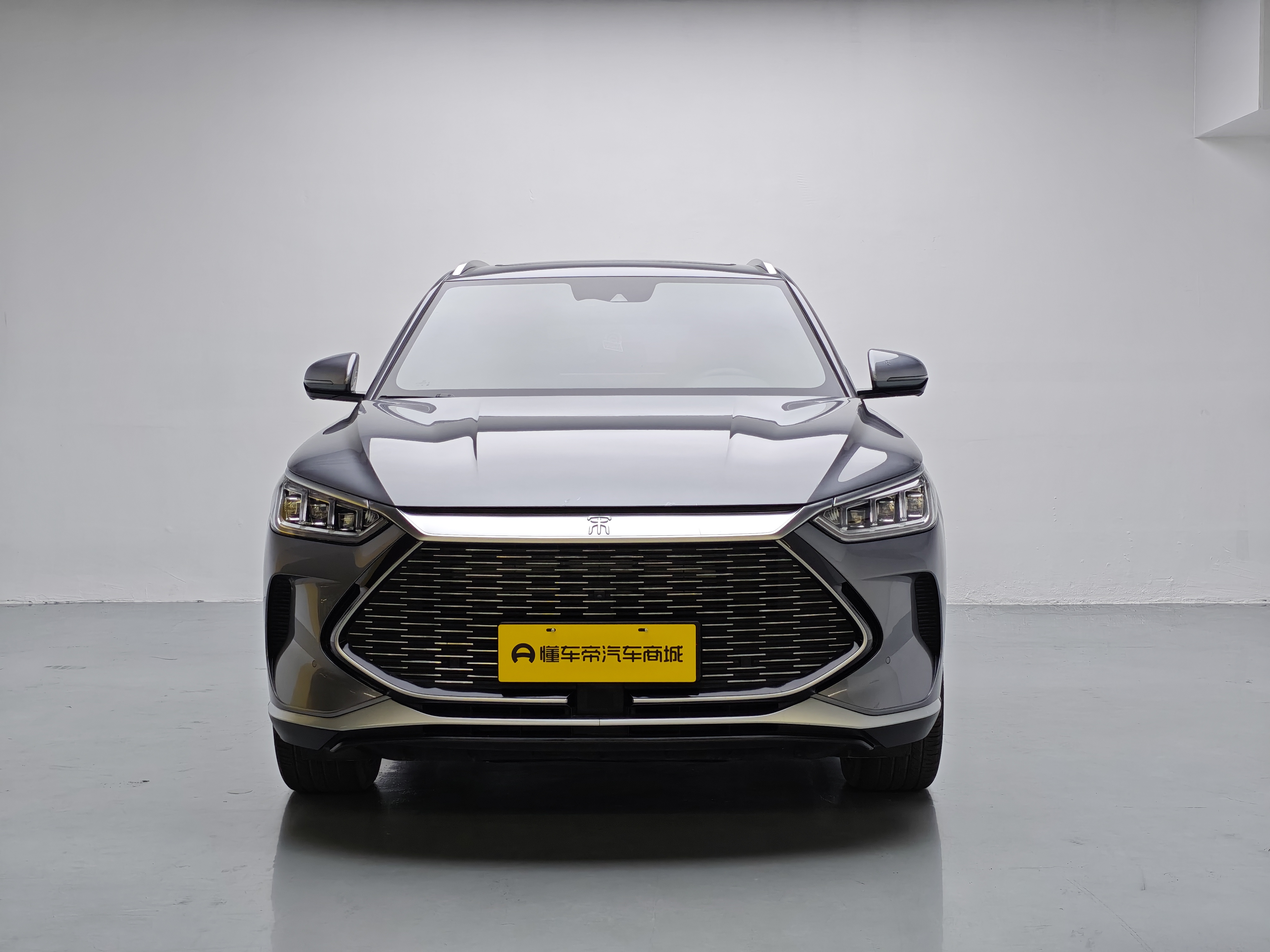 BYD Song Plus New Energy 2022 immagine di auto #2