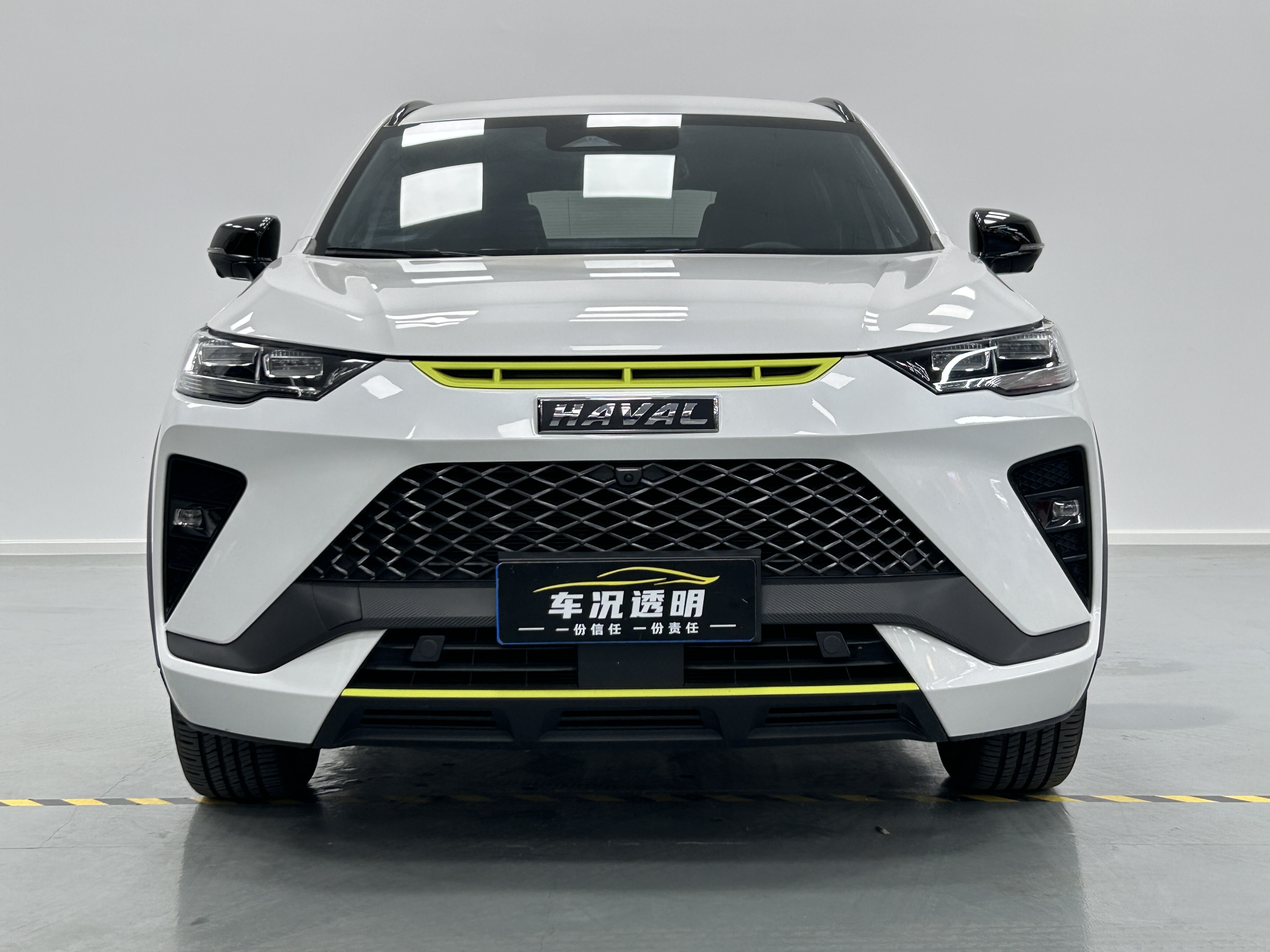 Haval H6S 2022 immagine di auto #2