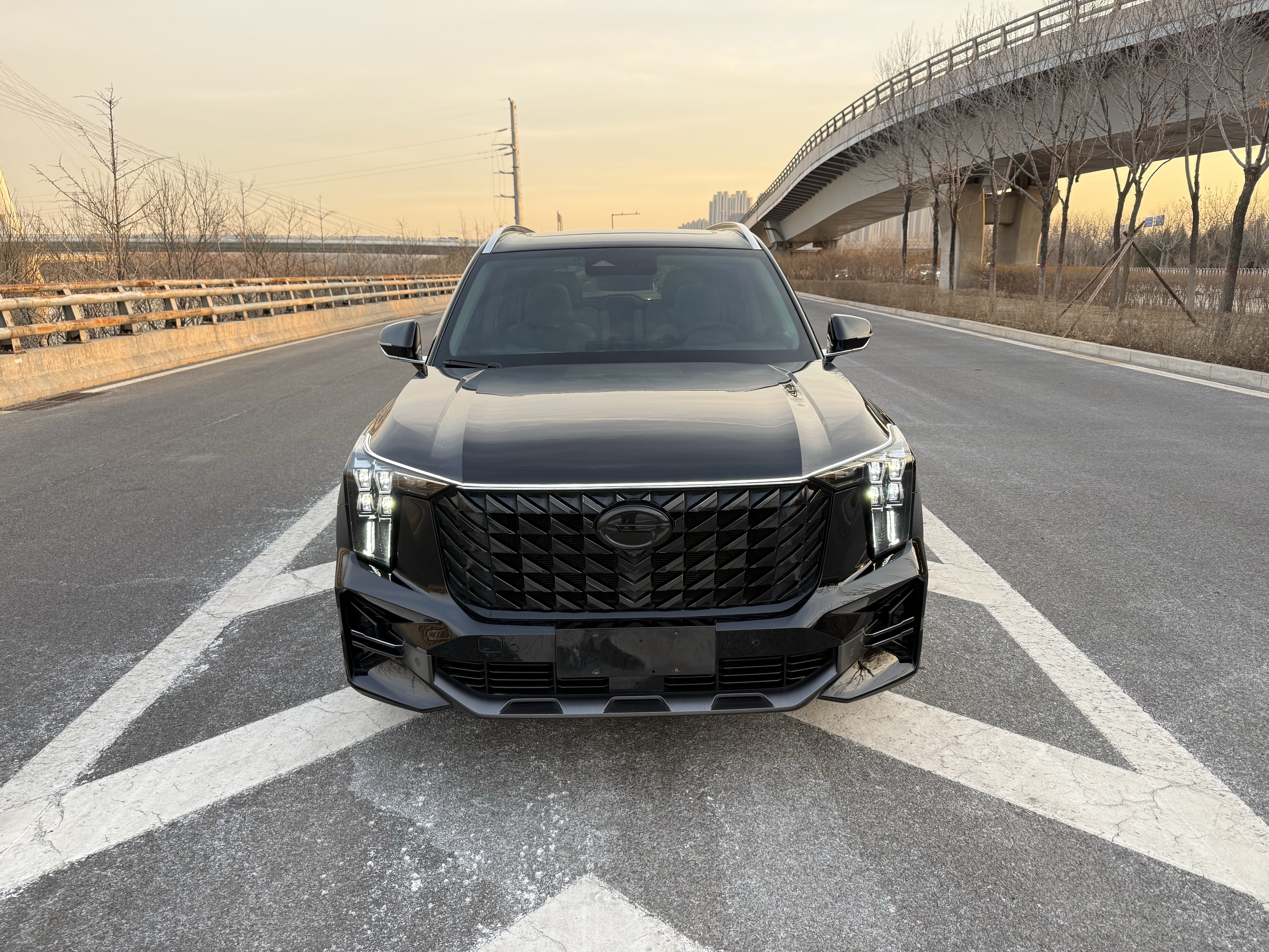 GAC Trumpchi GS8 2022 car image #2