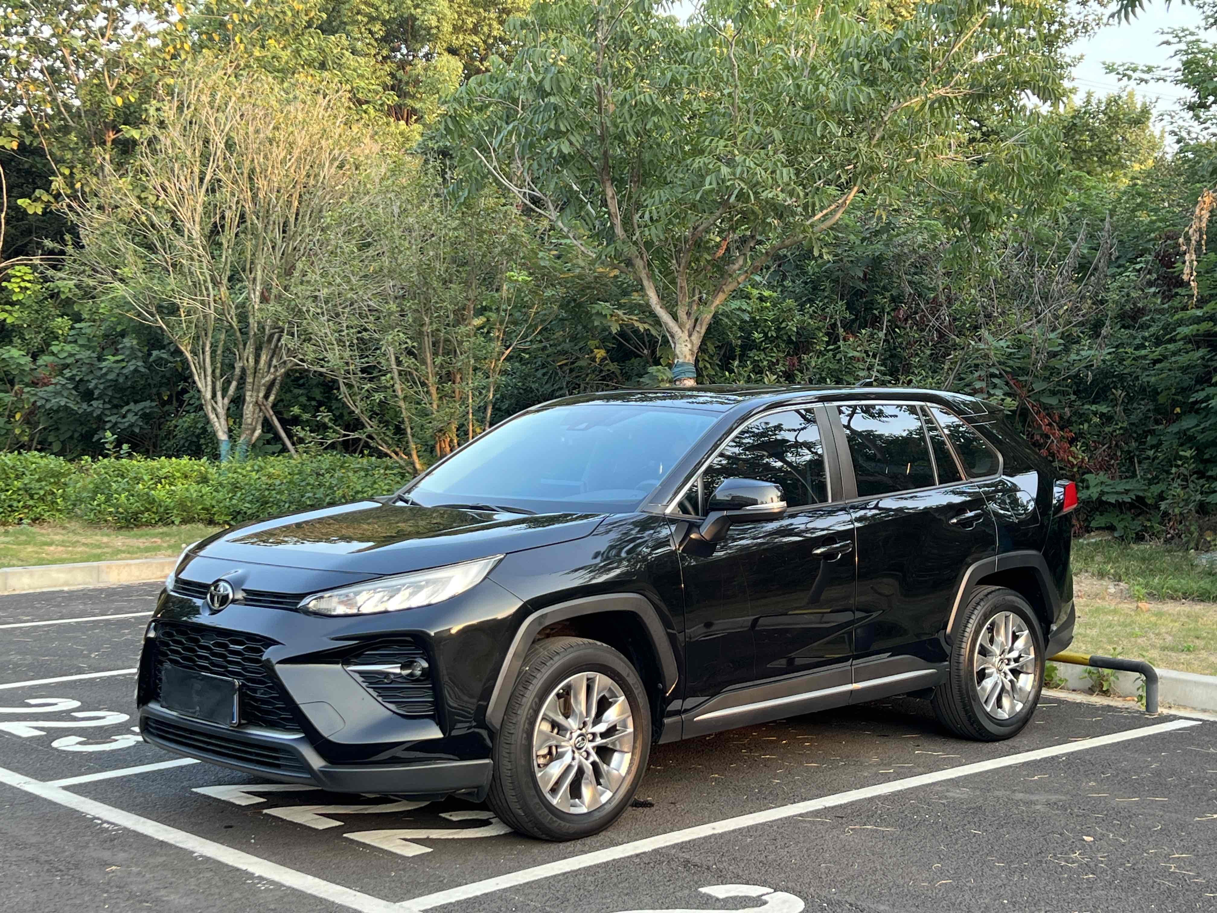 Toyota Wildlander 2022 imagem de carro #2