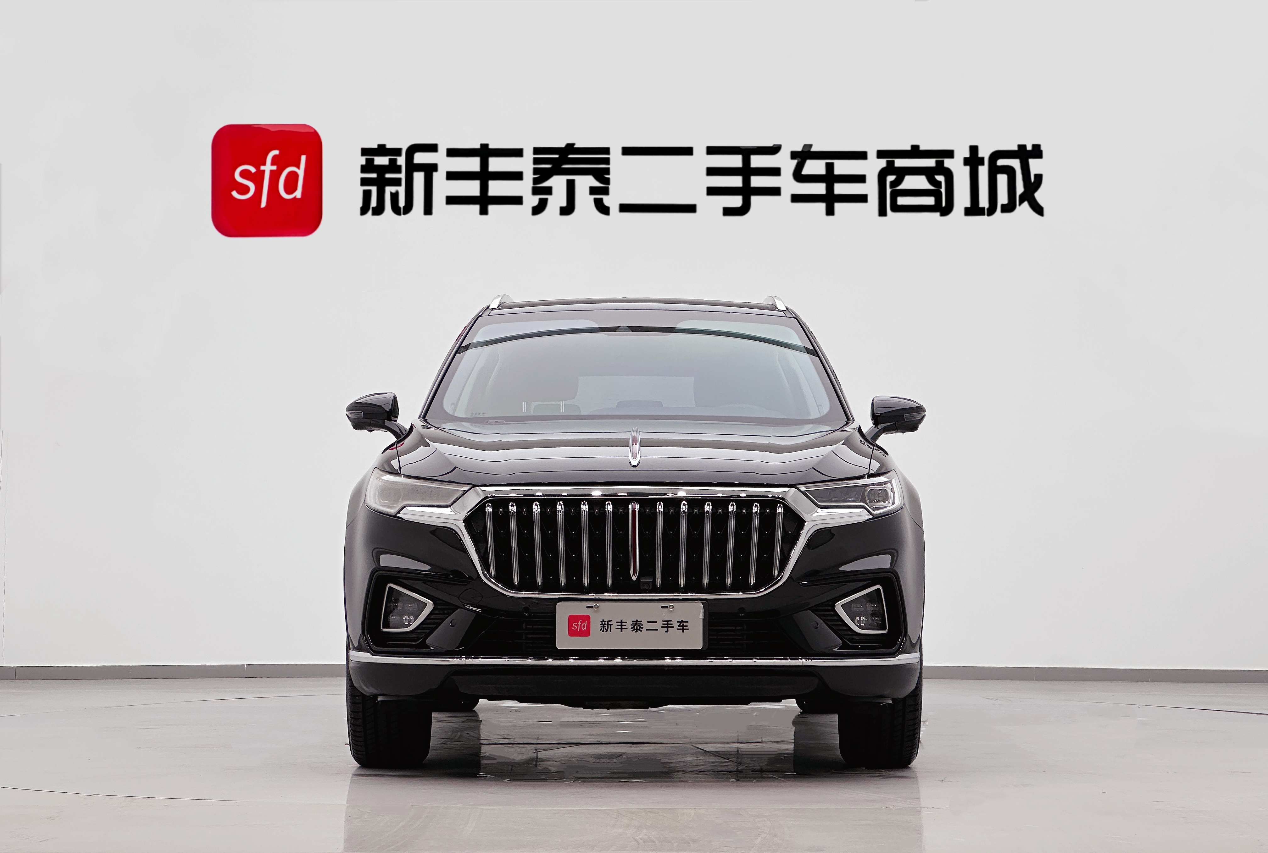 HongQi HS5 2023 car image #2