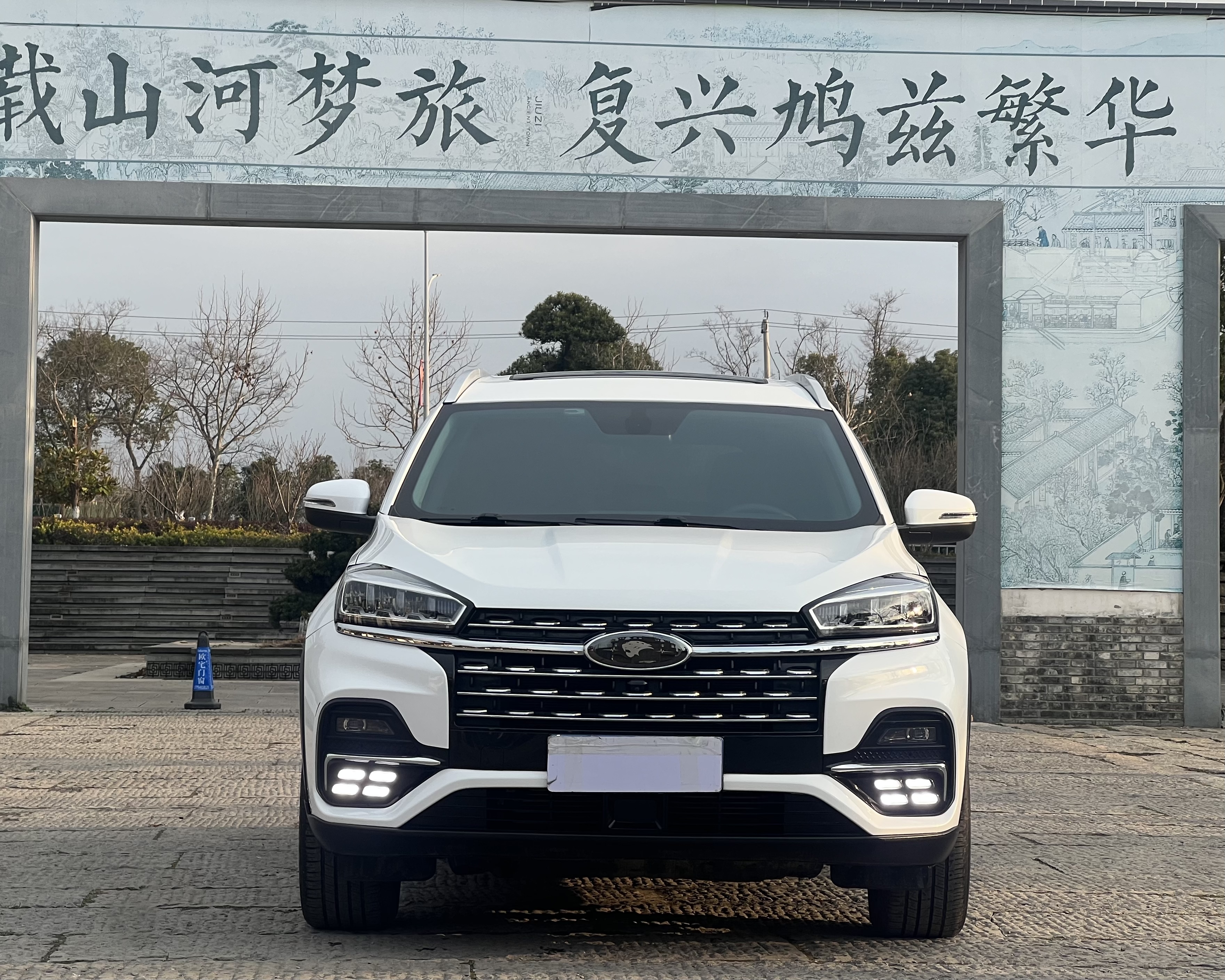 Chery Tiggo 8 2022 immagine di auto #2