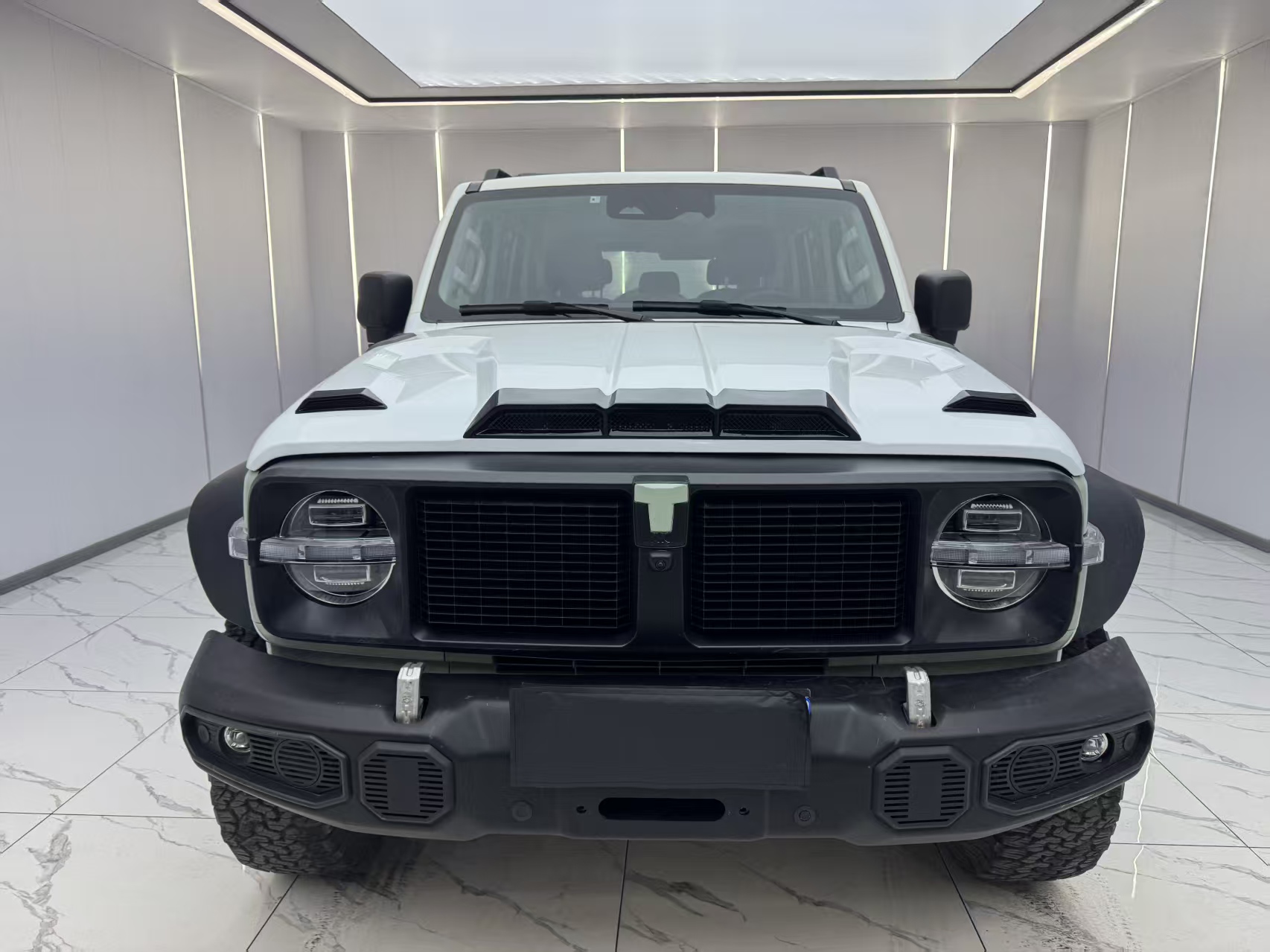 坦克 坦克300 2022 汽车图片 #2