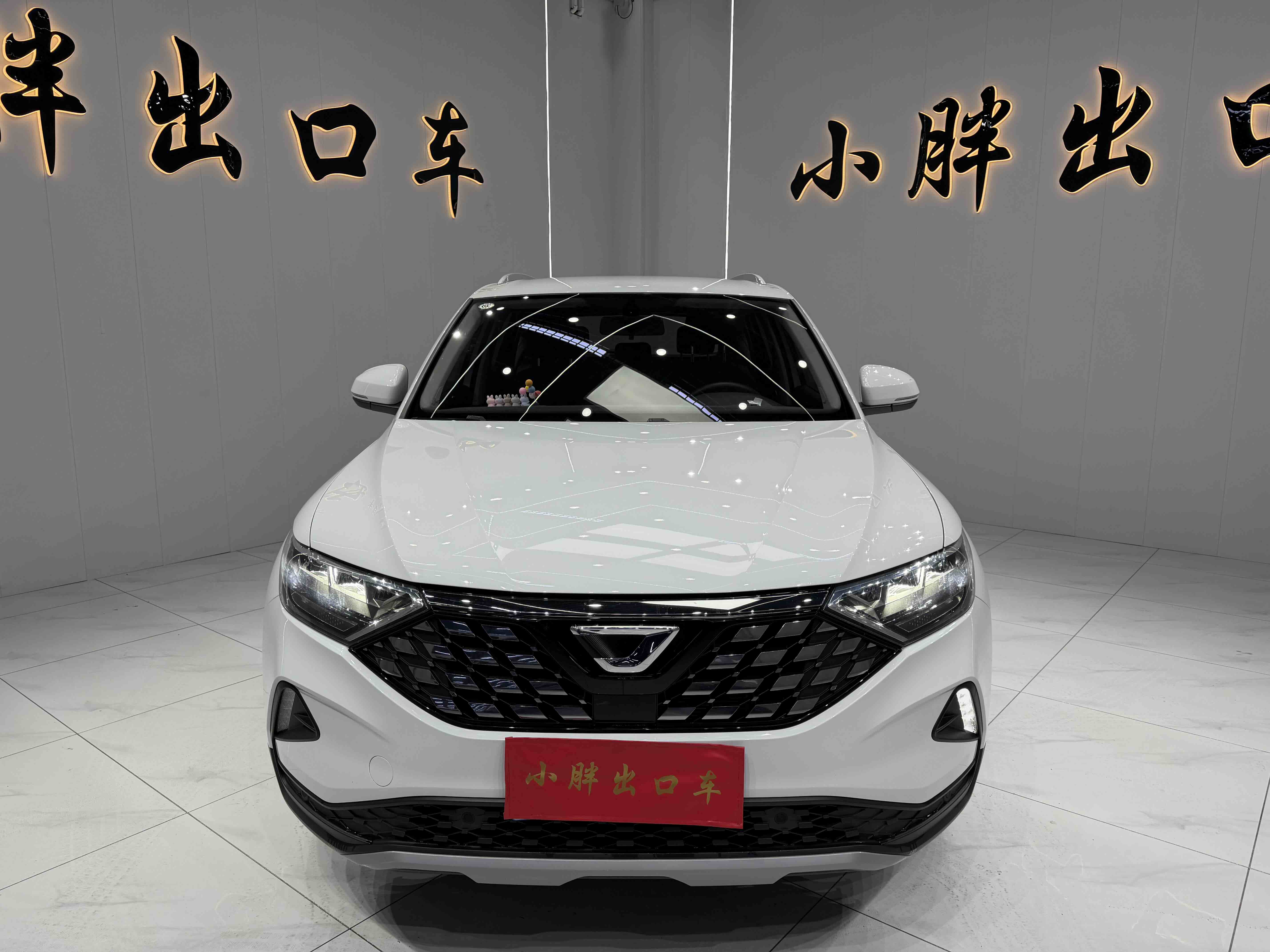 VS5 2022 car image #2
