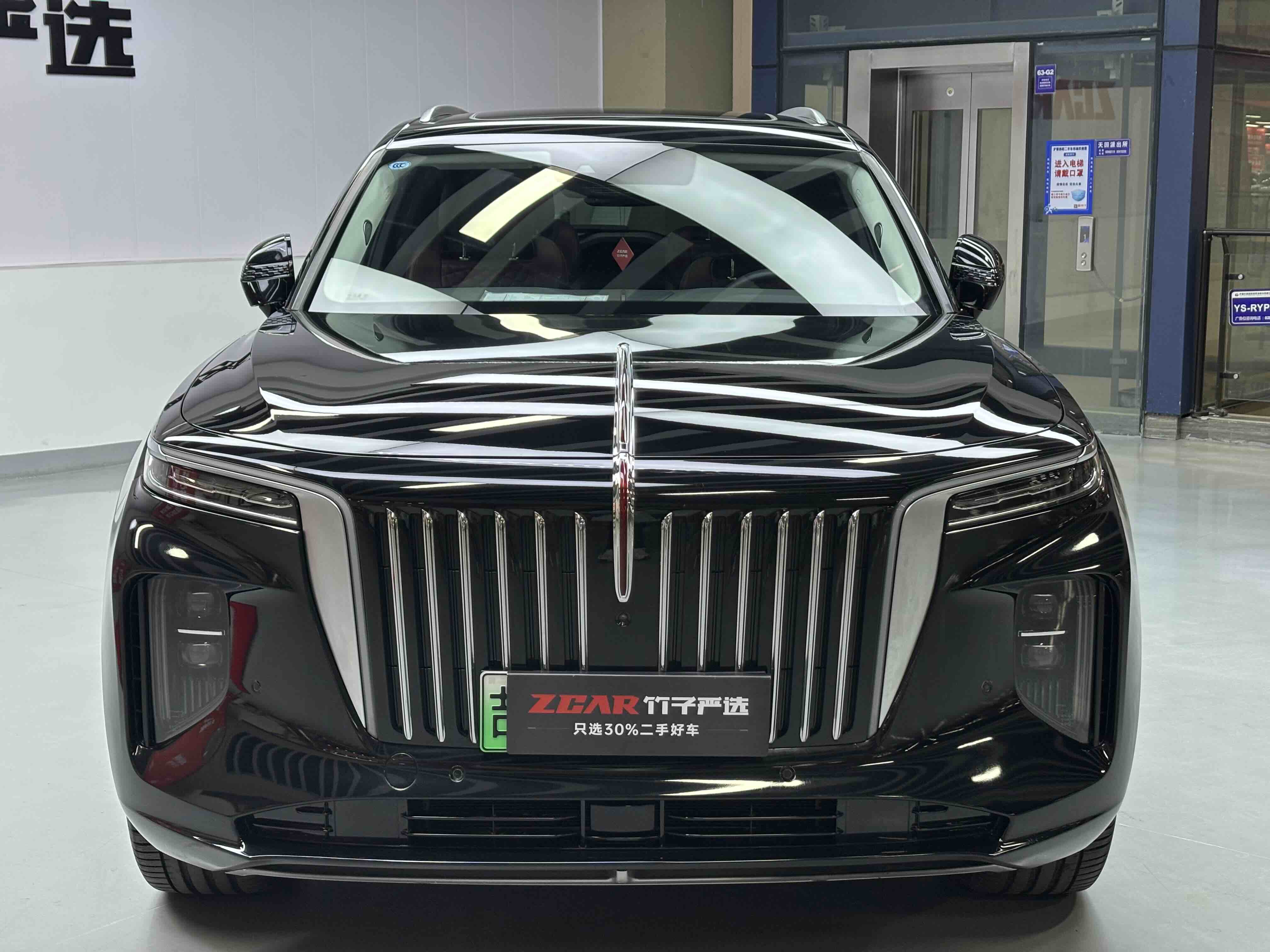 HongQi E-HS9 2023 imagem de carro #2
