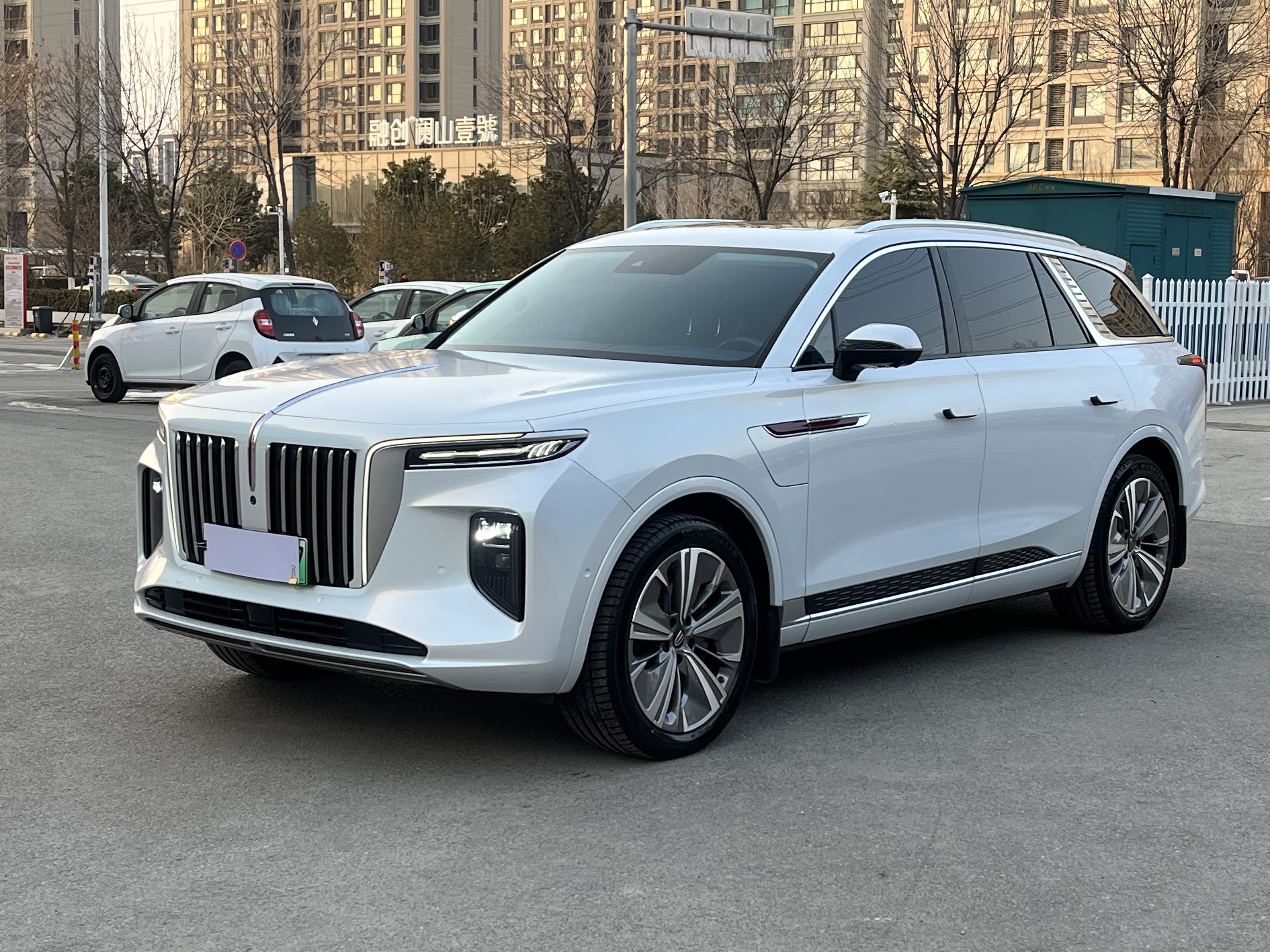 HongQi E-HS9 2023 car image #2