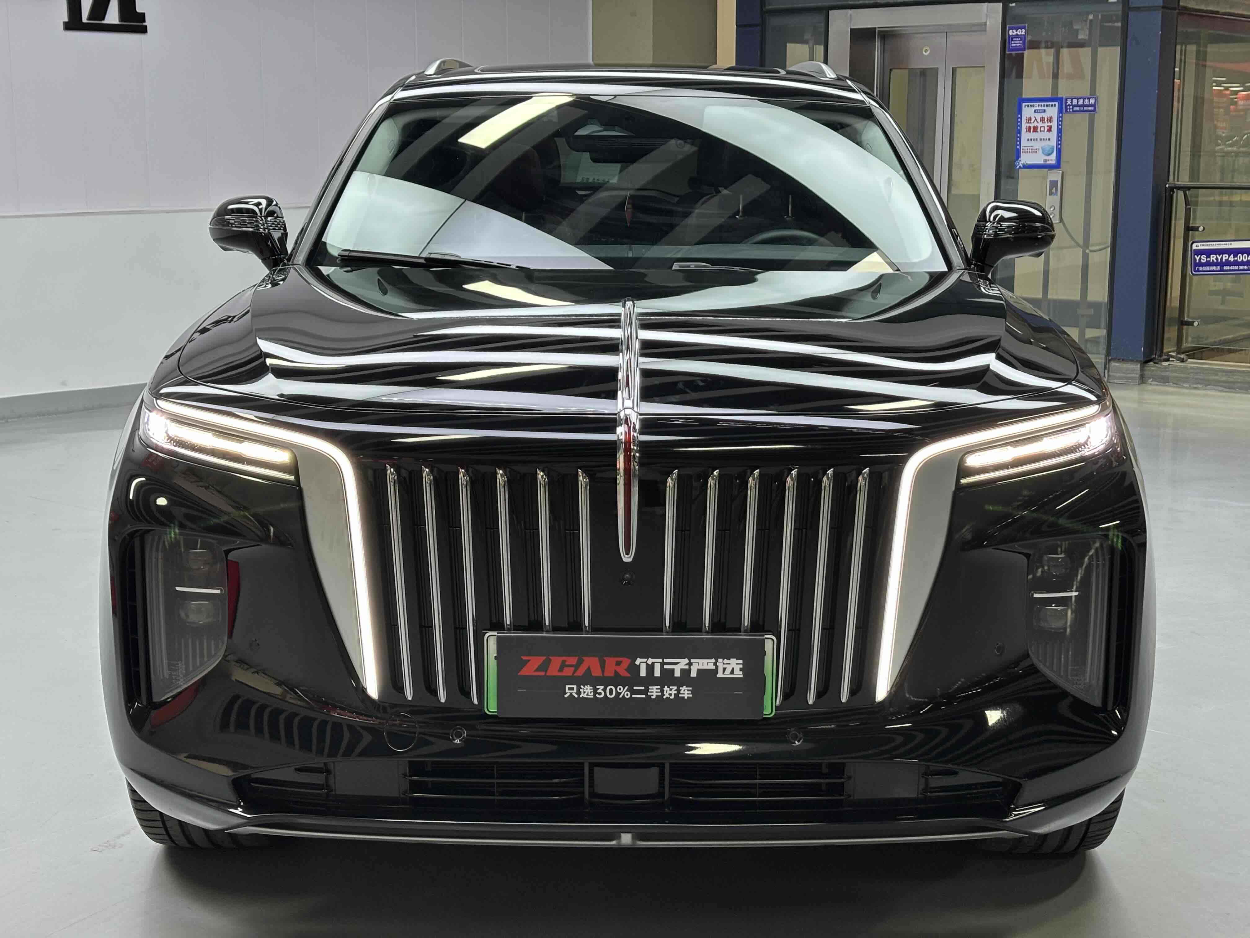 HongQi E-HS9 2023 imagem de carro #2