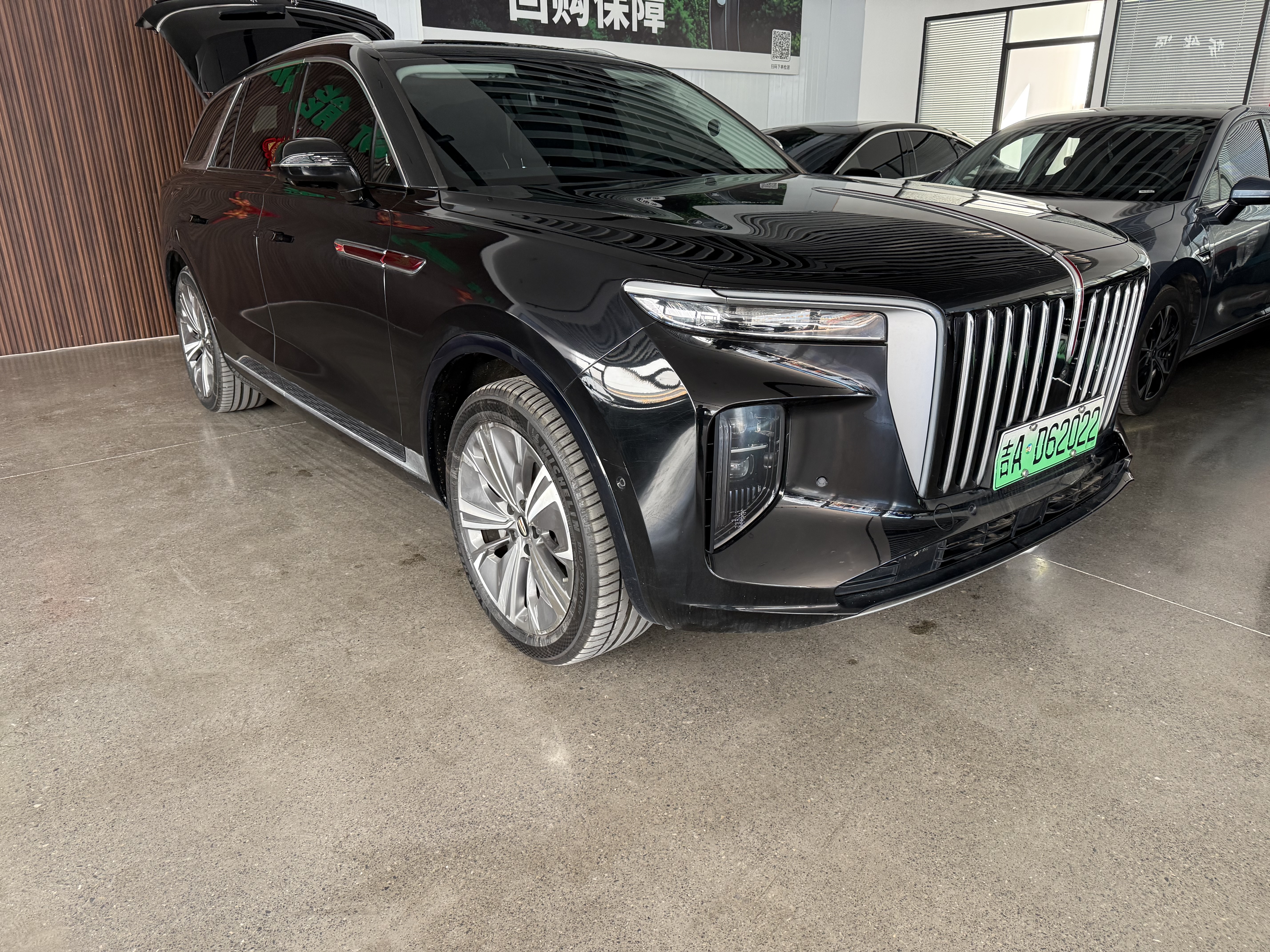HongQi E-HS9 2023 image de voiture #2