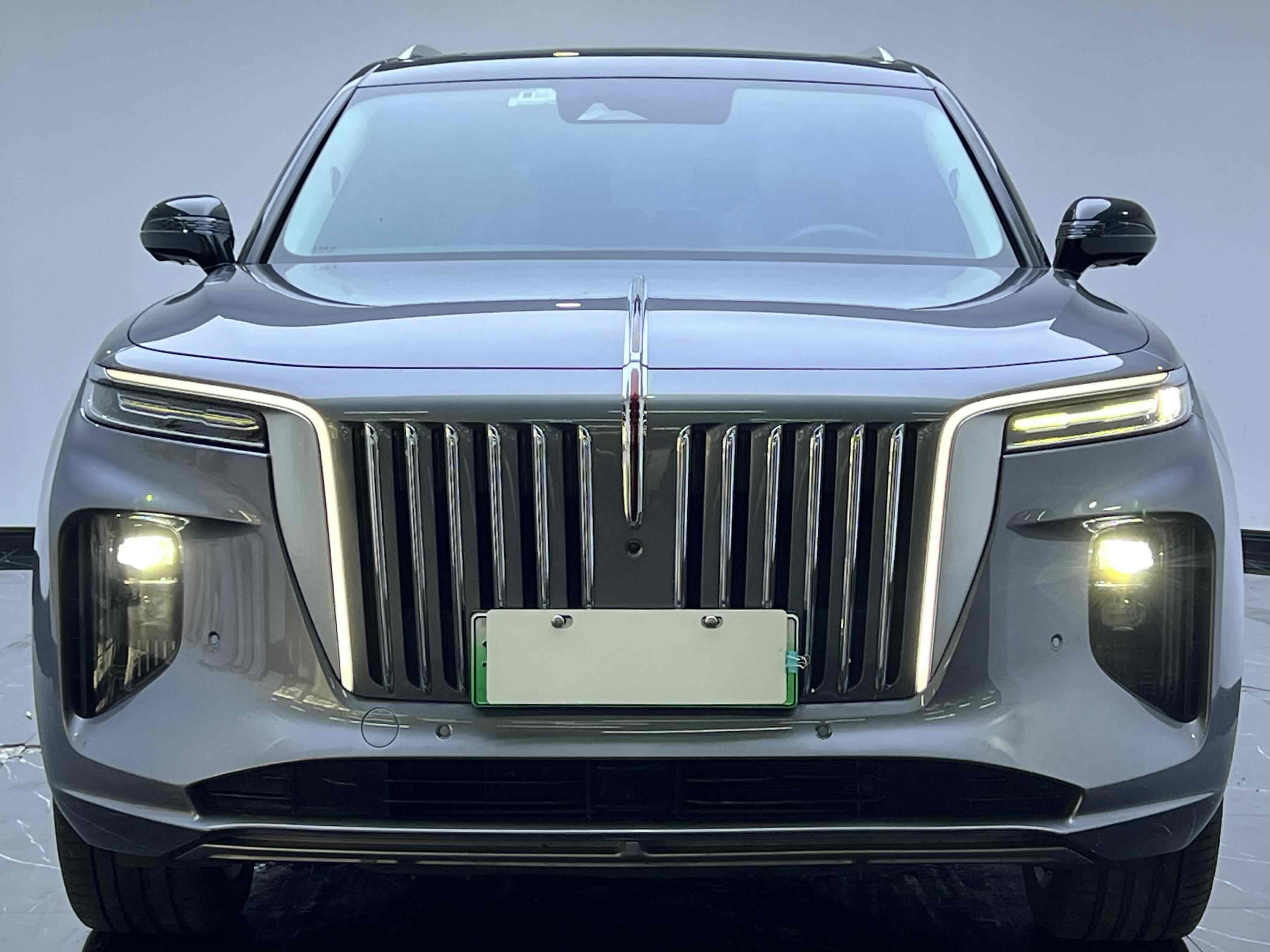 HongQi E-HS9 2022 car image #2
