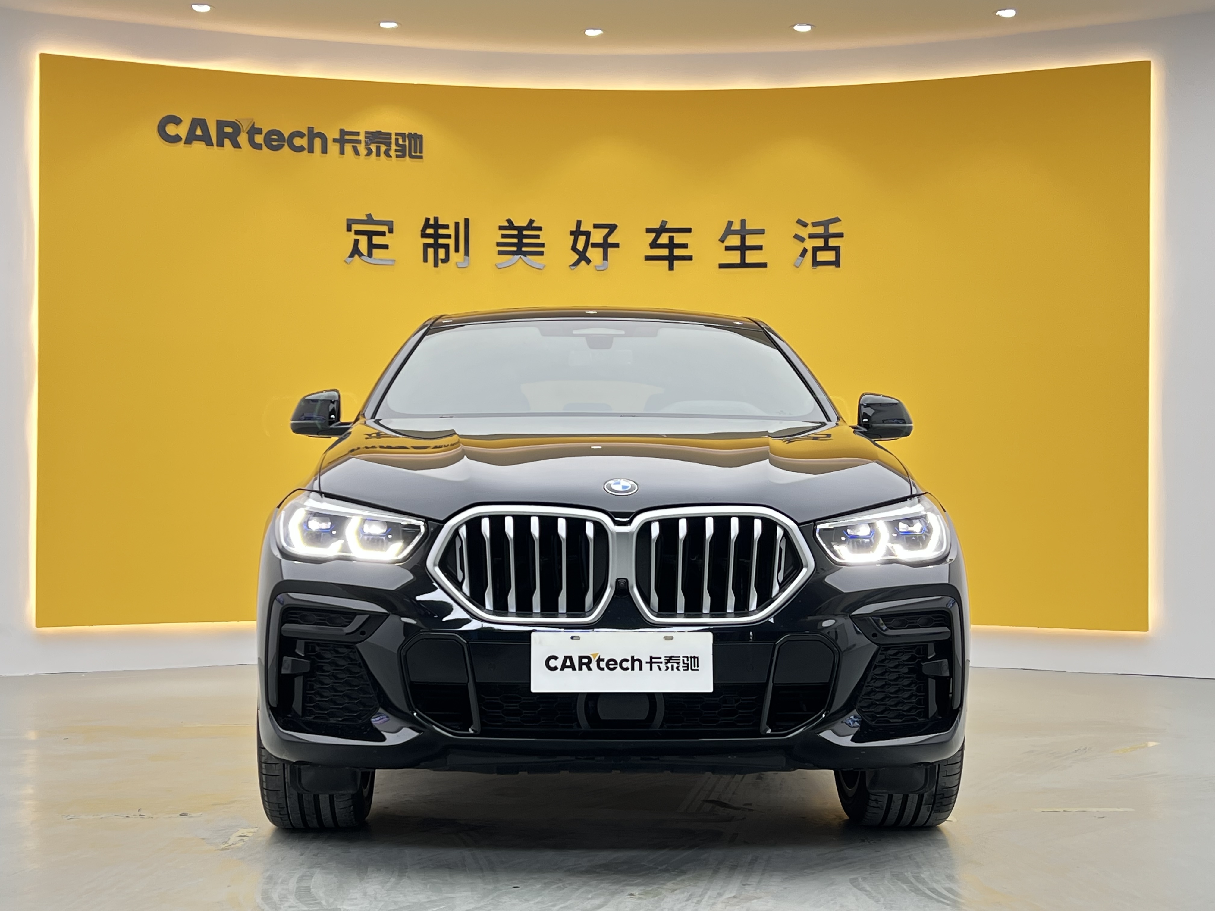 BMW X6 2021 car image #2