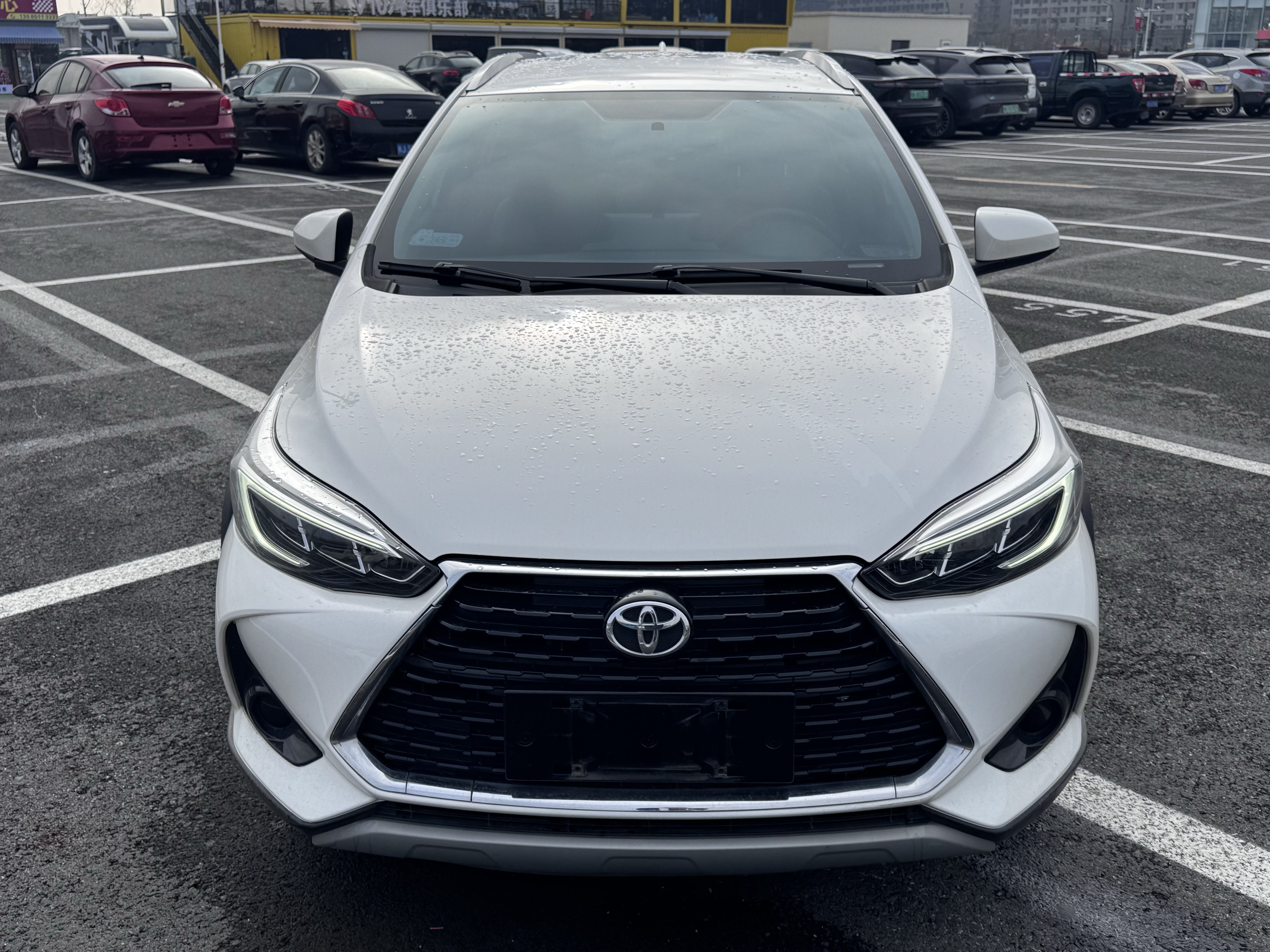 Yaris L Zhixuan 2022 car image #2