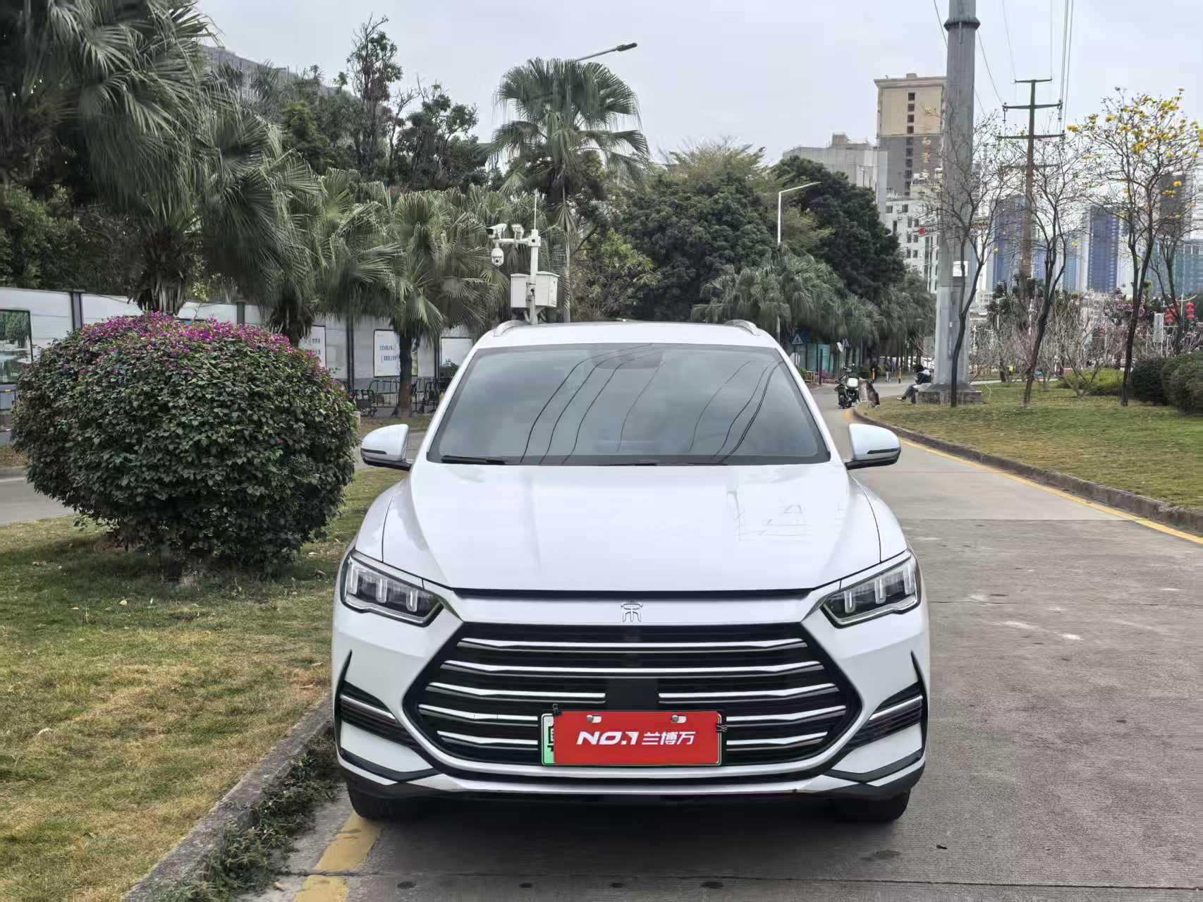 BYD Song Pro New Energy 2023 car image #2