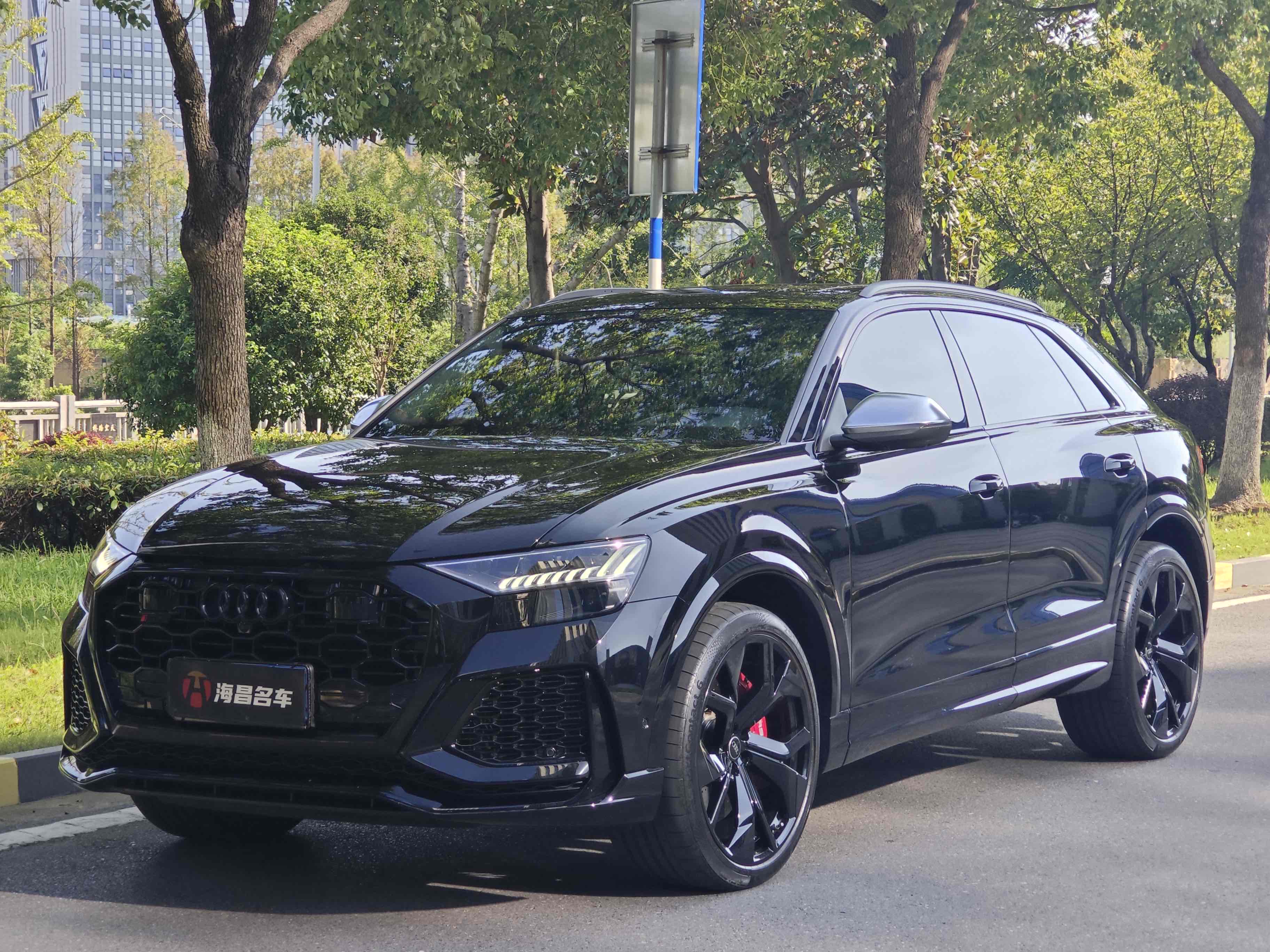 Audi RS Q8 2024 car image #2