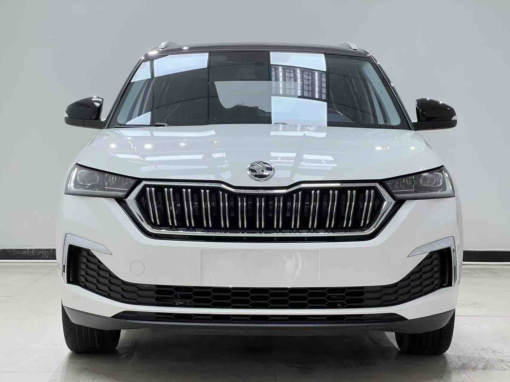 Skoda Kamiq 2023 imagem de carro #2