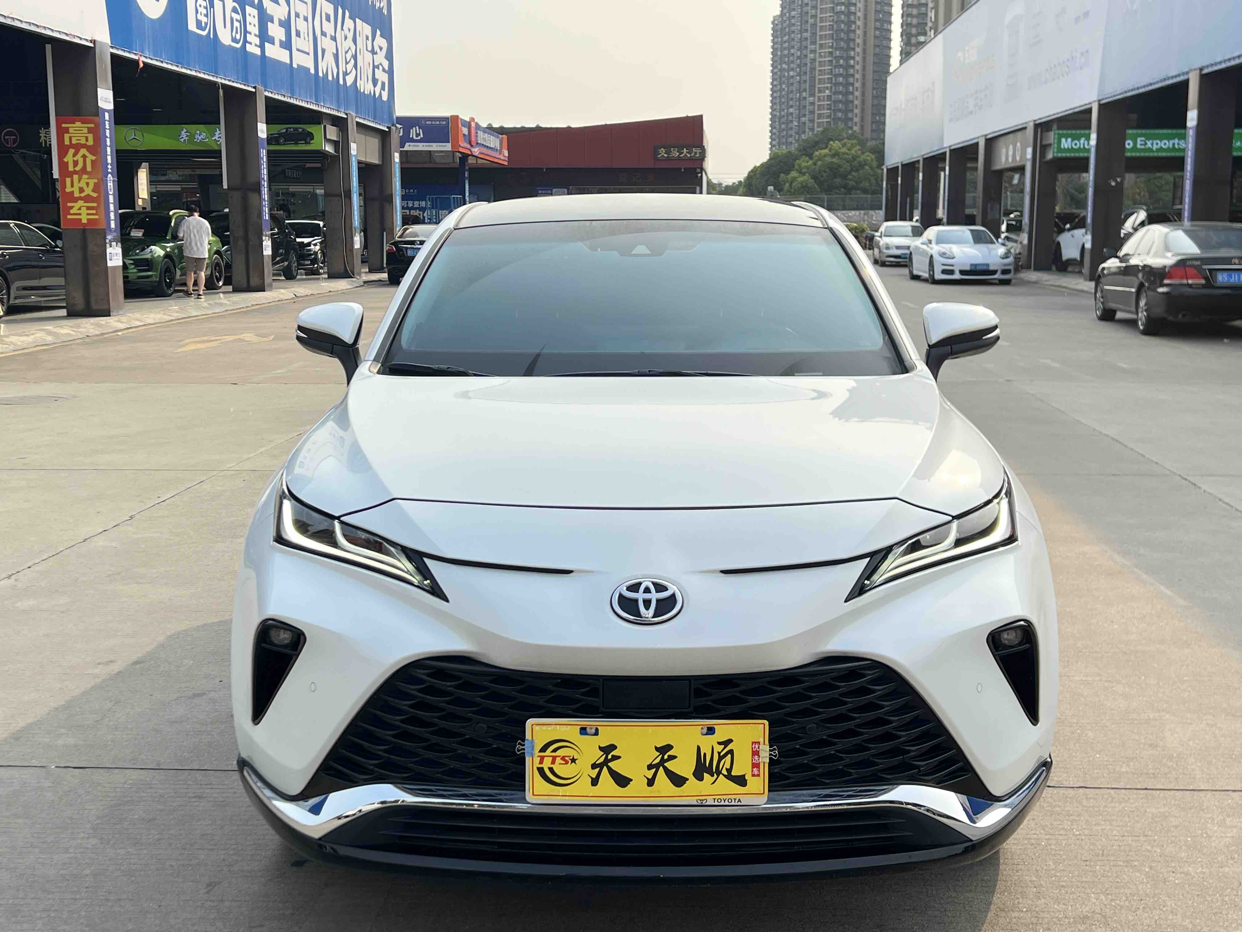 Toyota Venza 2023 car image #2