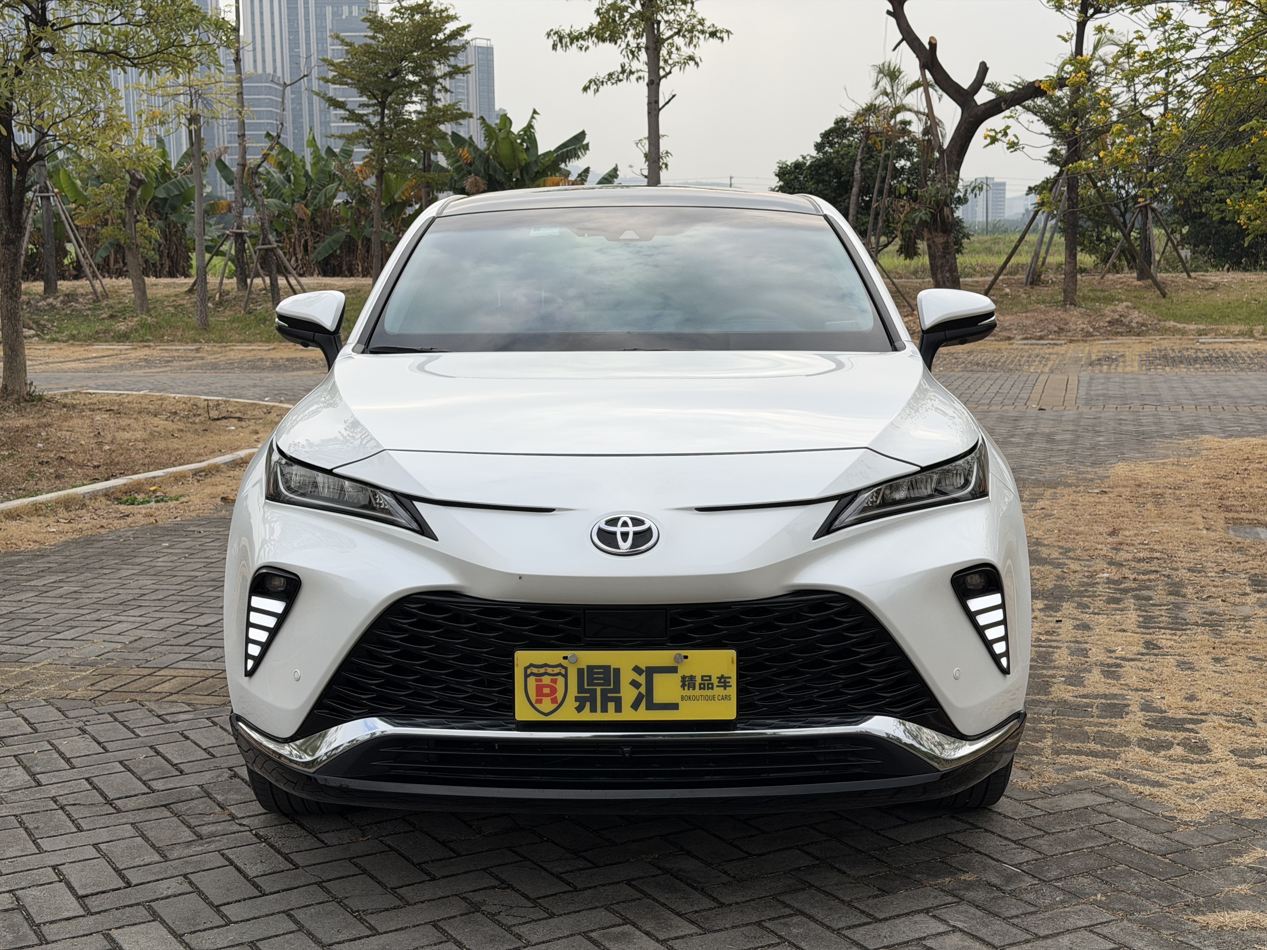 Toyota Venza 2023 immagine di auto #2