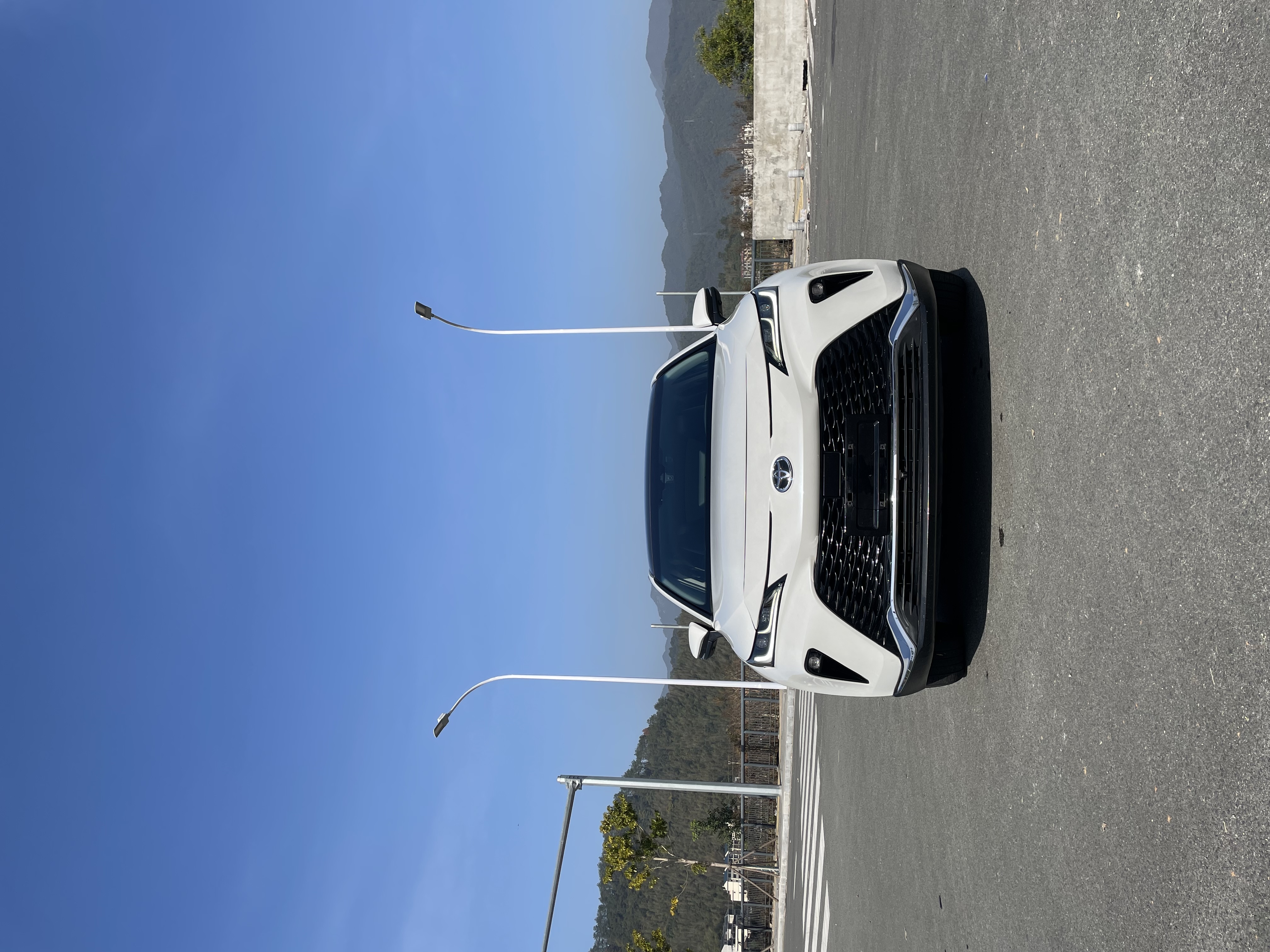 Toyota Venza 2022 immagine di auto #2