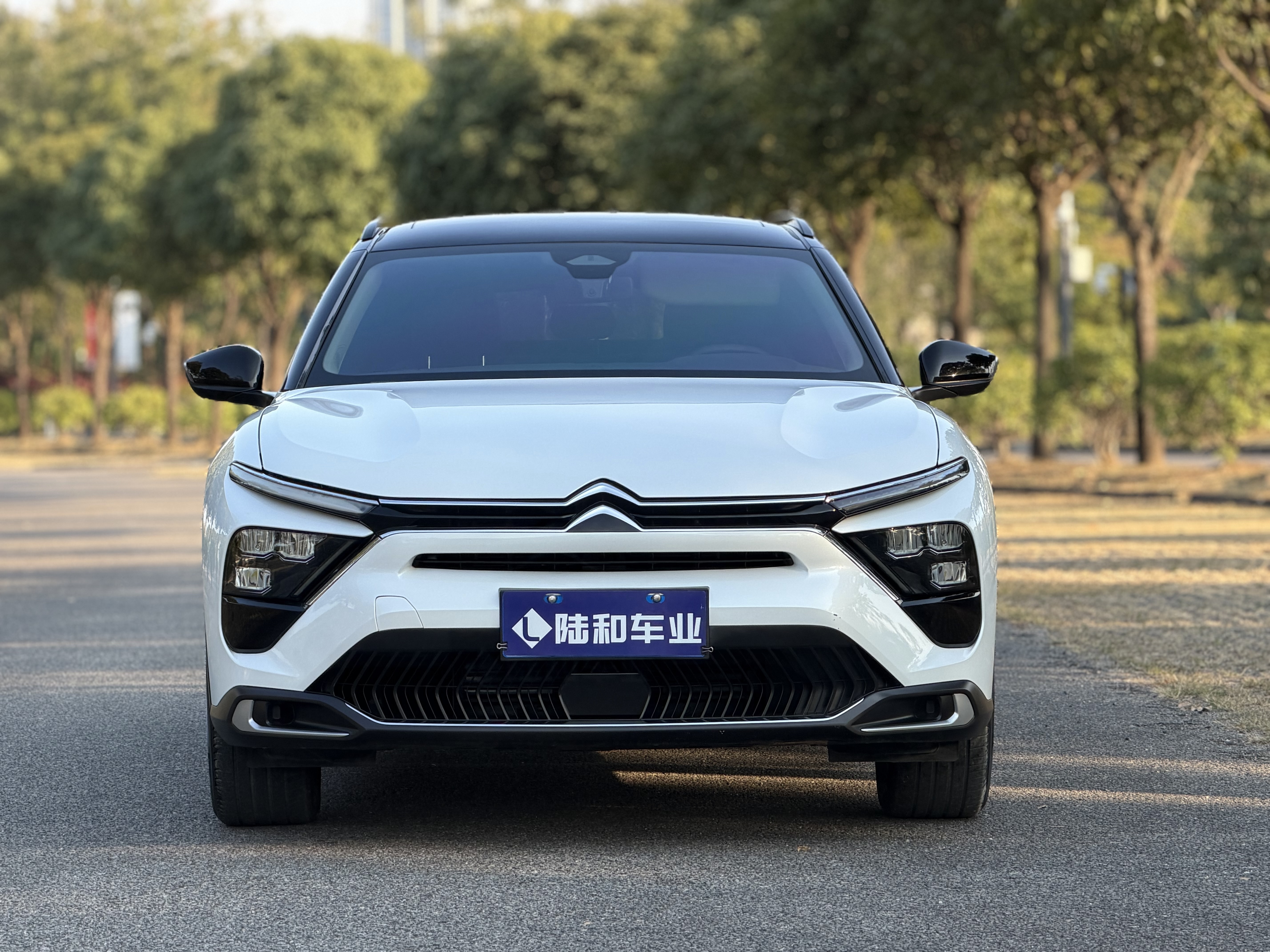 Citroen C5 X 2022 #2 Citroen C5 X 2022 صورة سيارة #2