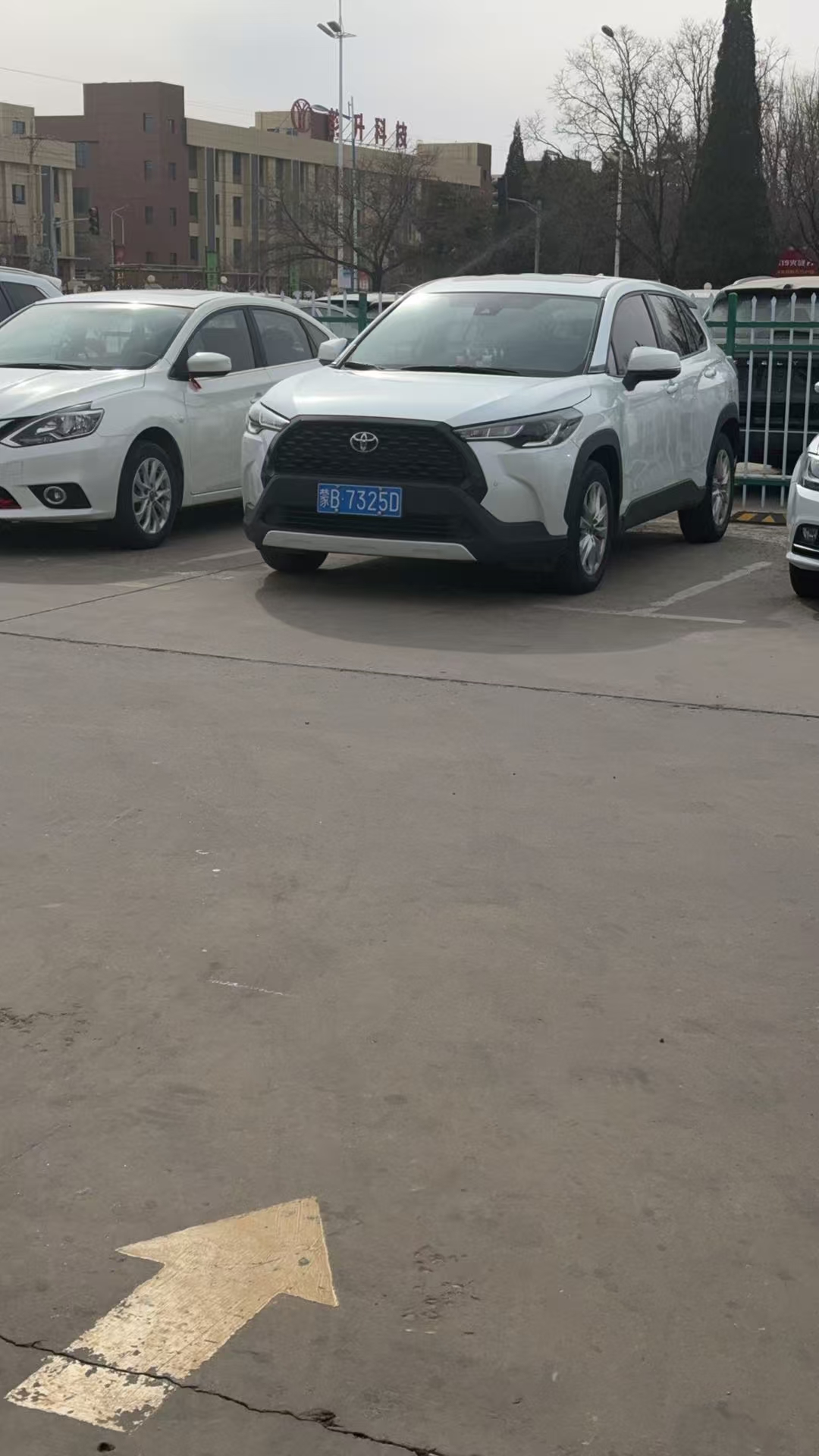 Corolla Cross 2022 car image #2