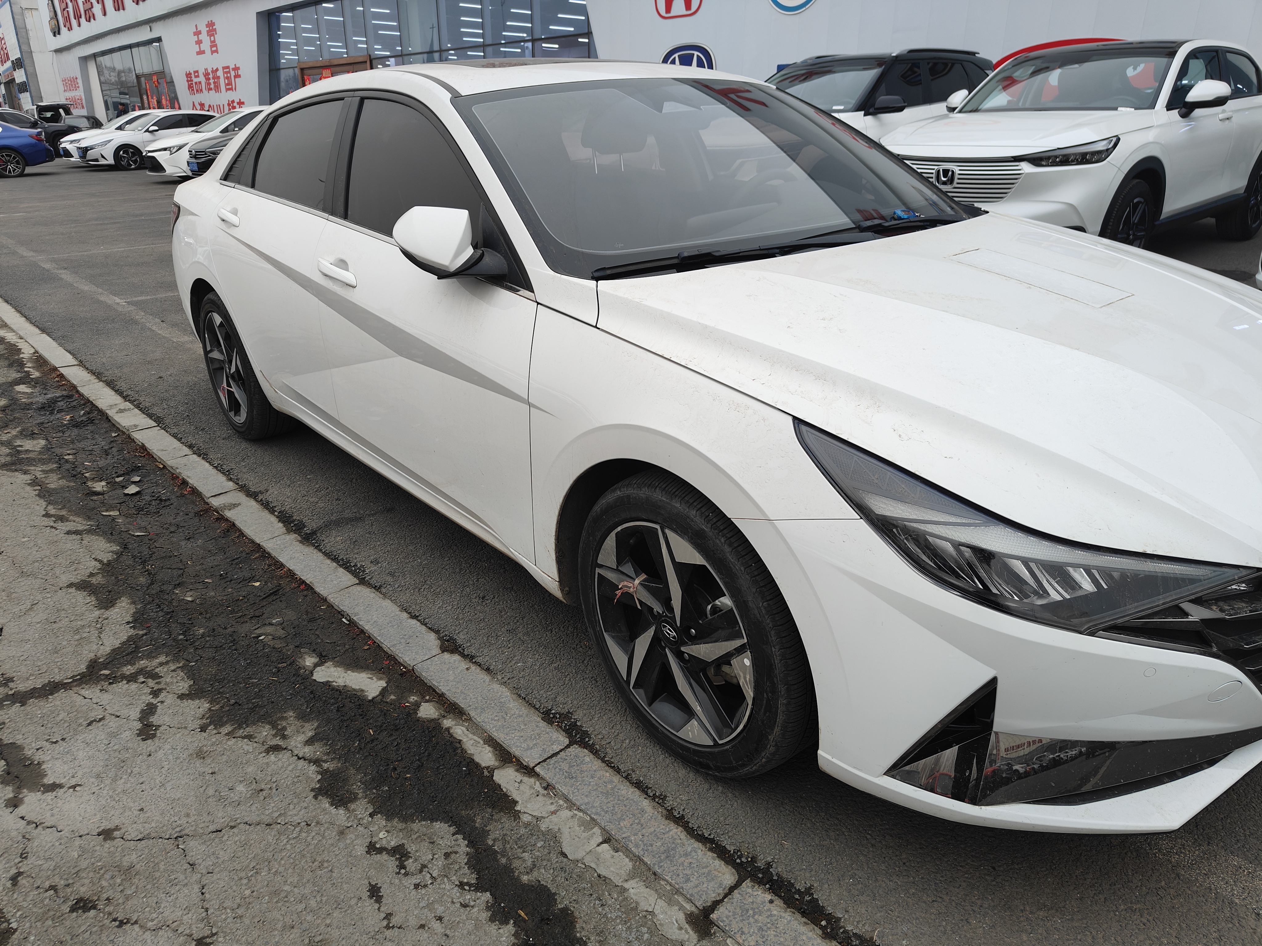 Hyundai Elantra 2023 immagine di auto #2