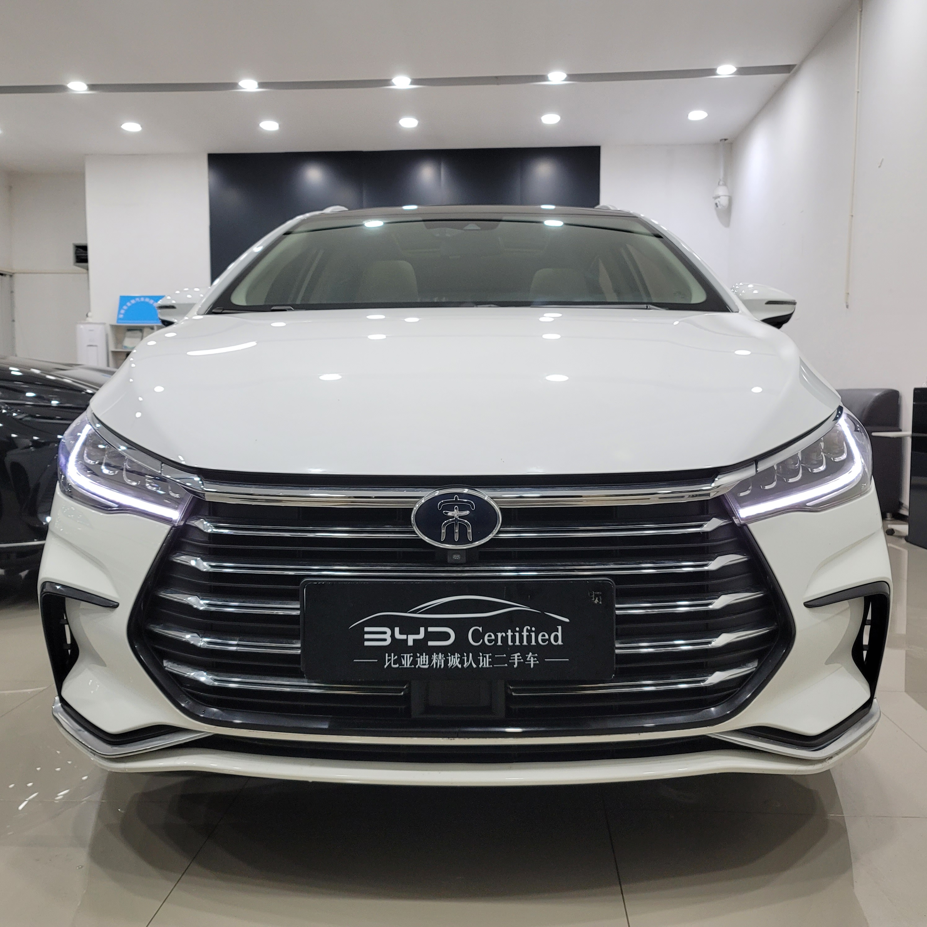 BYD Song MAX New Energy 2023 immagine di auto #2