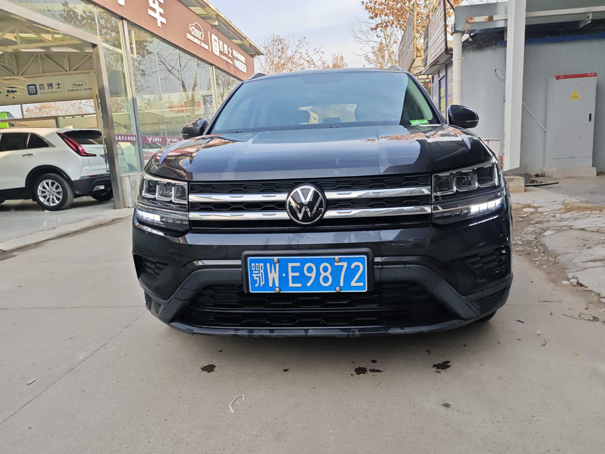 Volkswagen Tharu 2022 car image #2