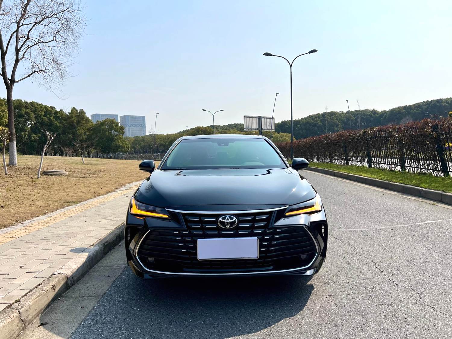 Toyota Avalon 2023 car image #2