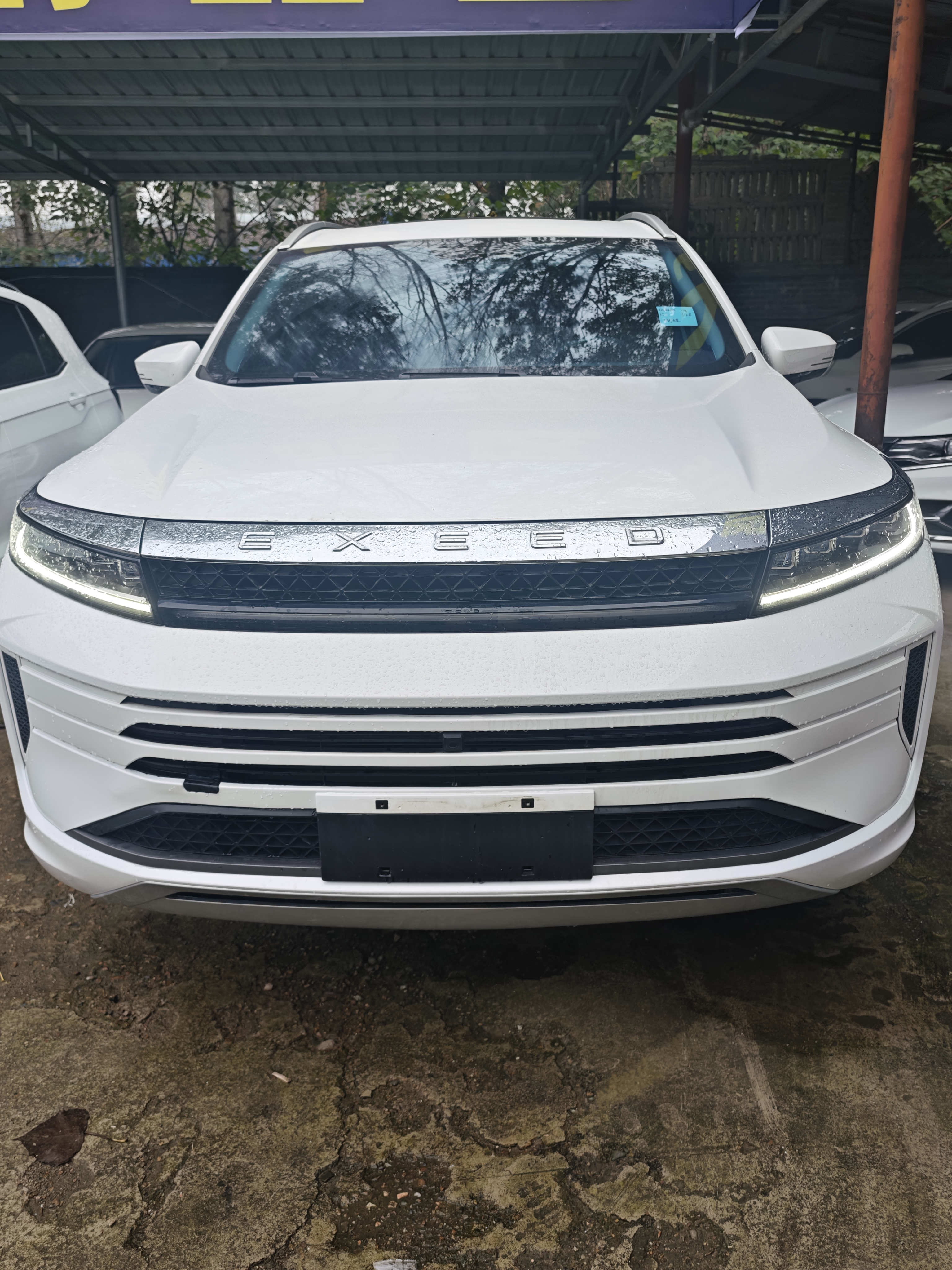 Exceed Chasing Wind C-DM 2024 car image #2