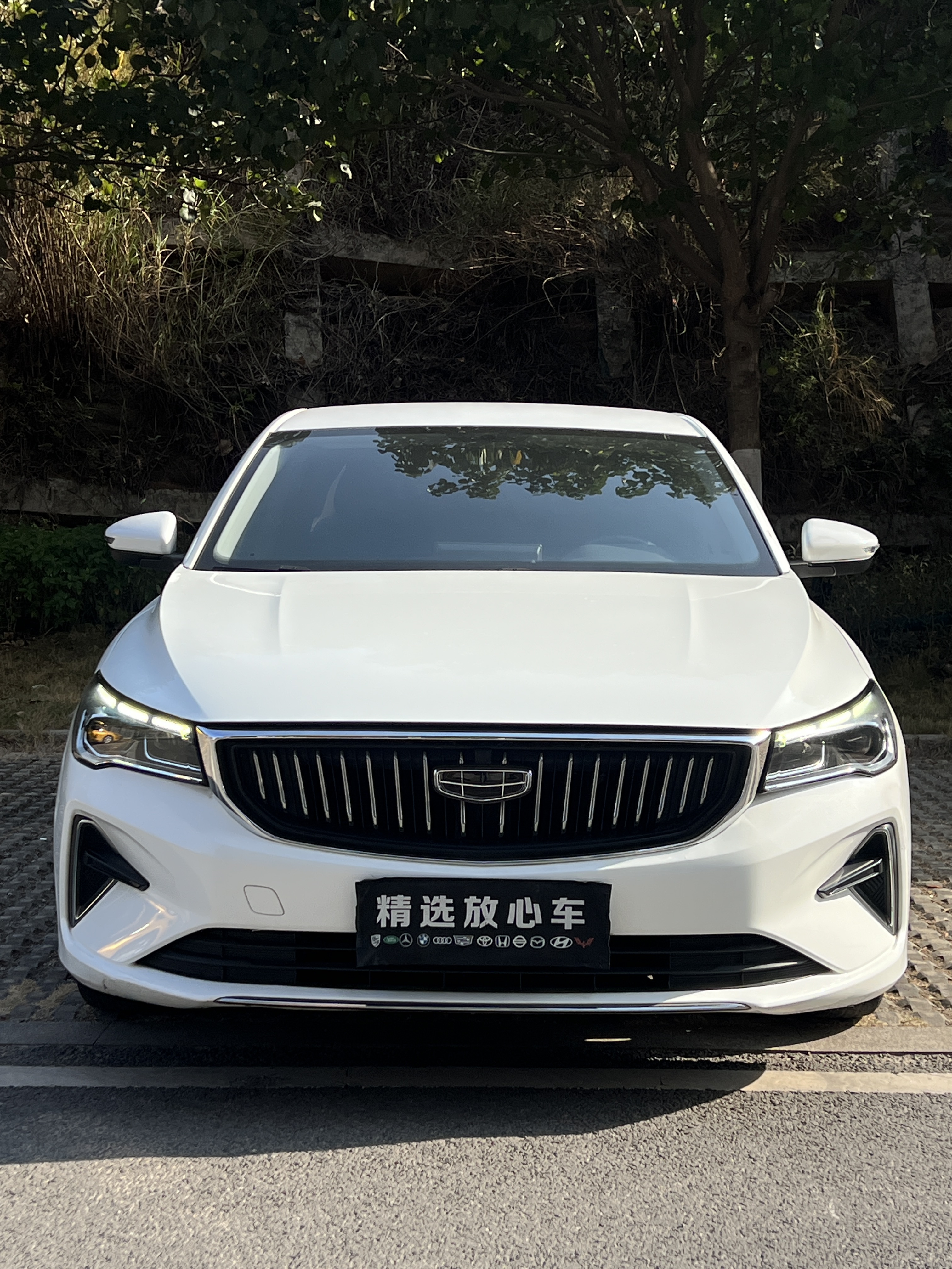 Emgrand 2023 car image #2