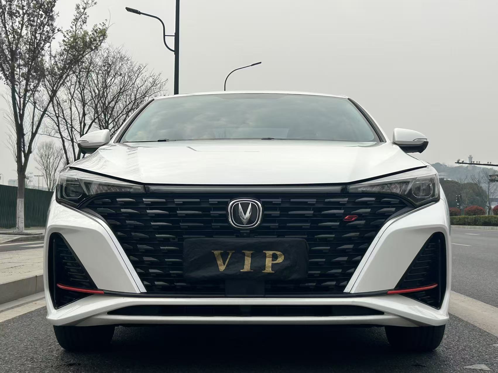 Changan Eado 2022 immagine di auto #2