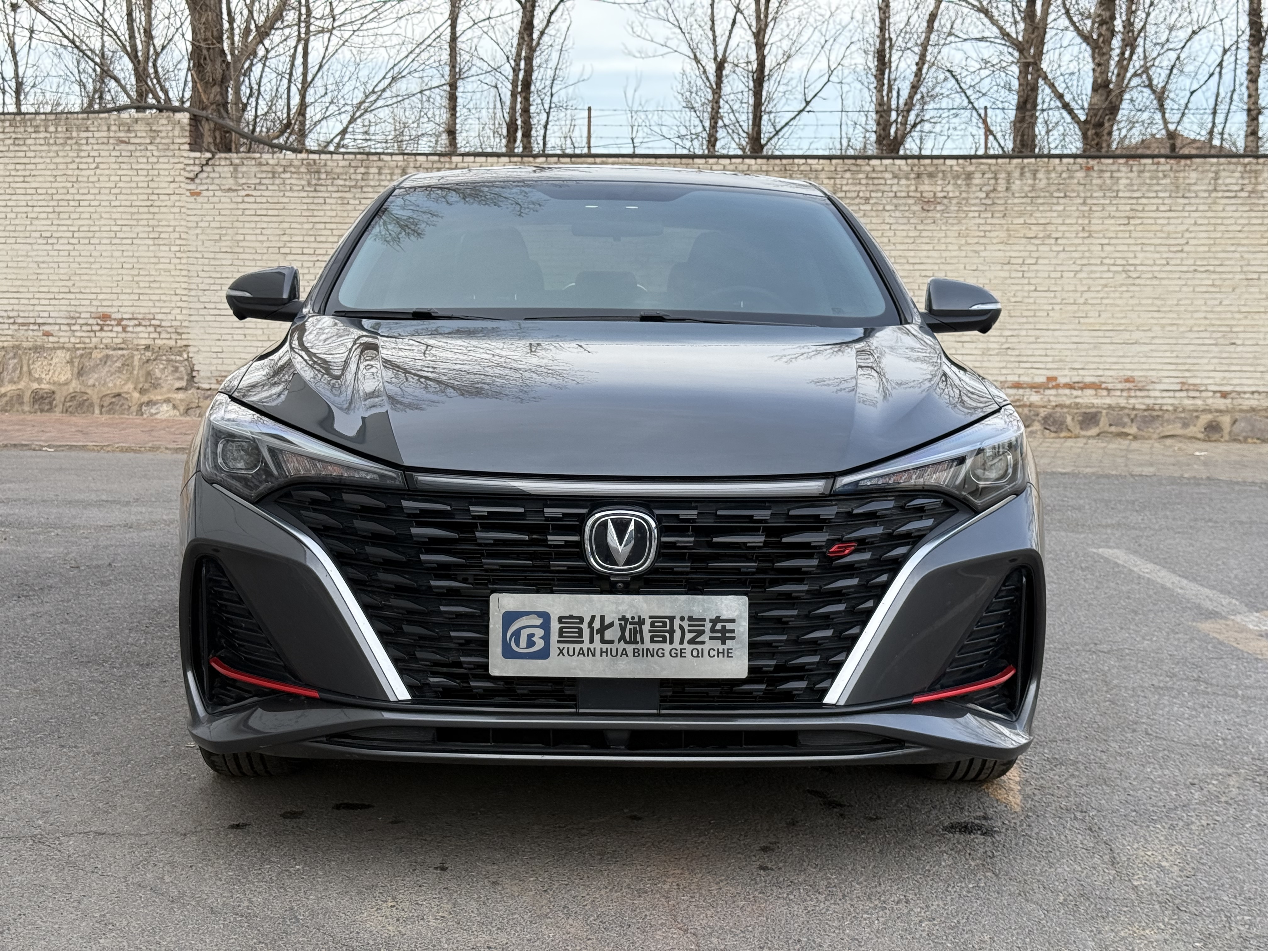 Changan Eado 2022 imagen de coche #2